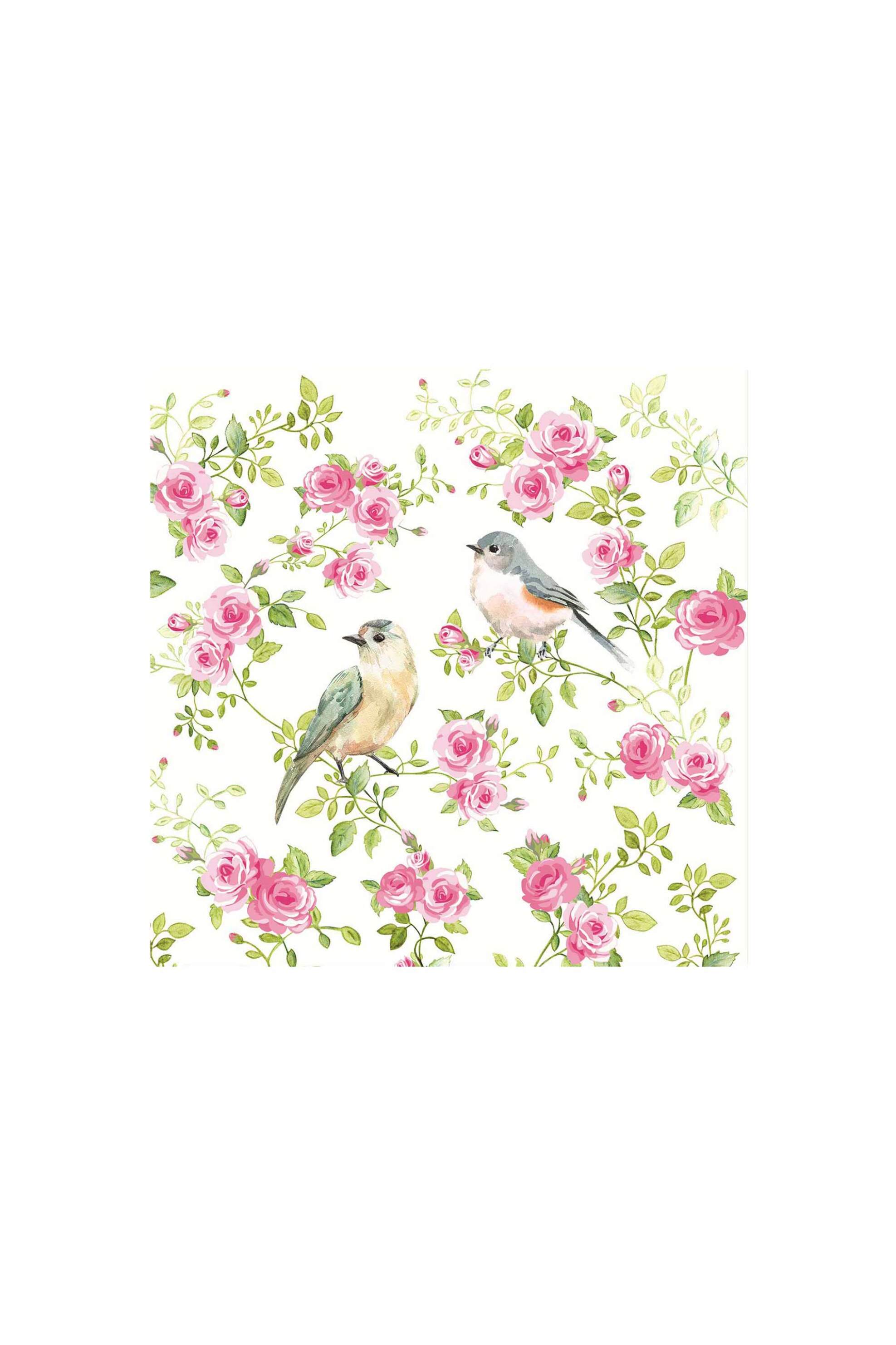 DOMUS HOMUS χαρτοπετσέτες "Spring Time" (20 τεμάχια) - 20-21-460