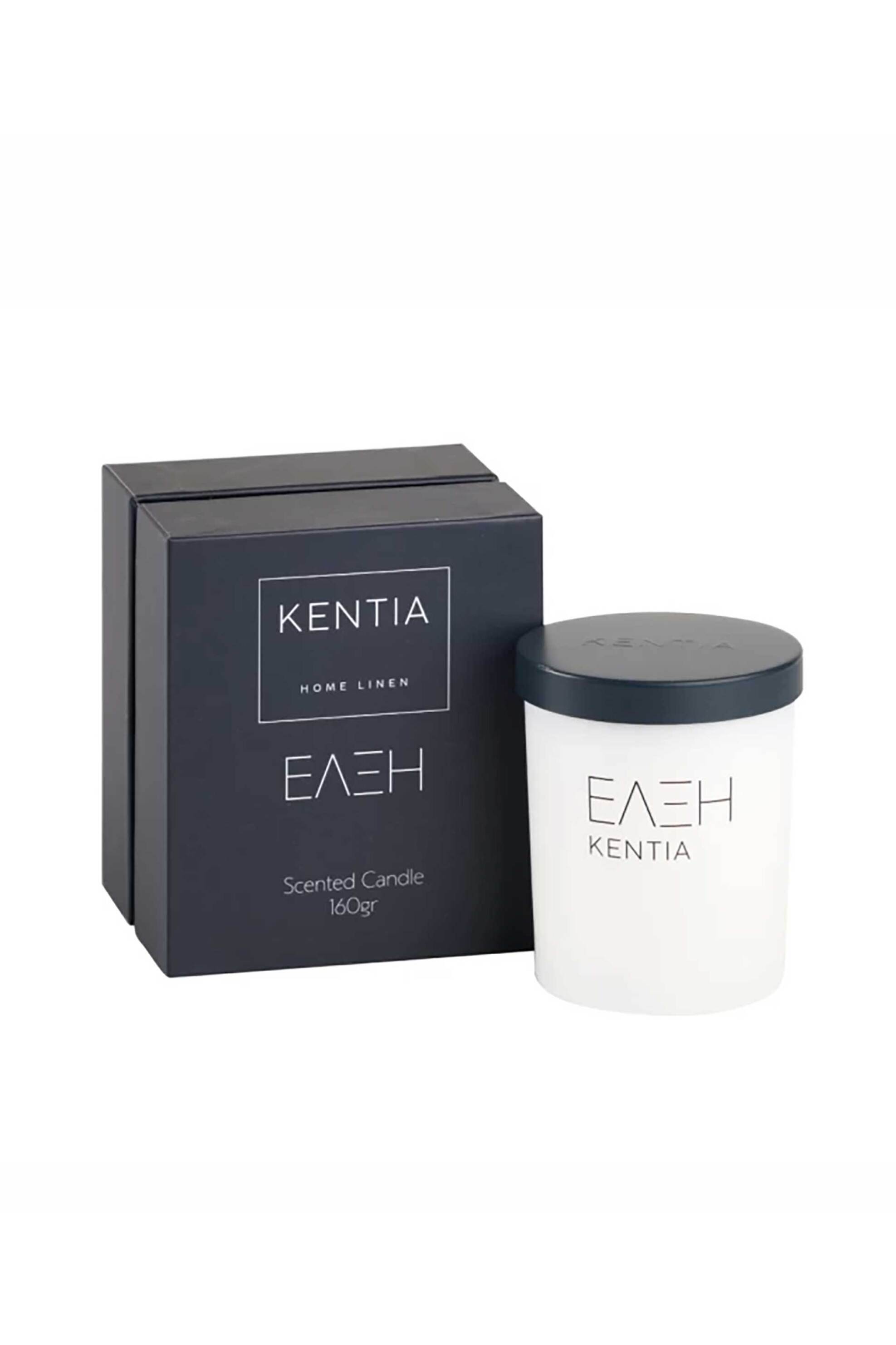 KENTIA Kentia diffuser sticks 100 ml "Έλξη" - 000078236