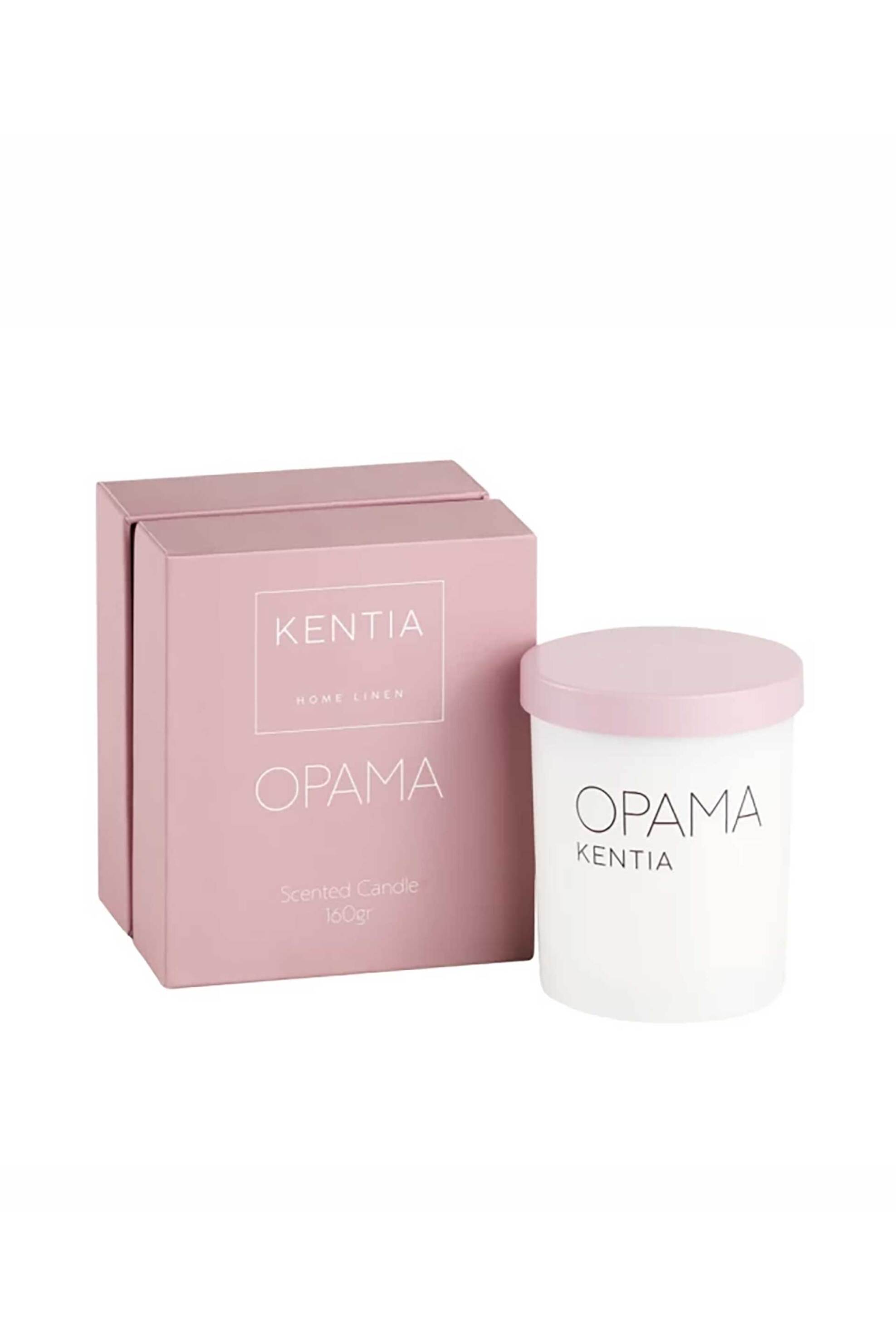 Kentia diffuser sticks 100 ml "Όραμα" - 000078238
