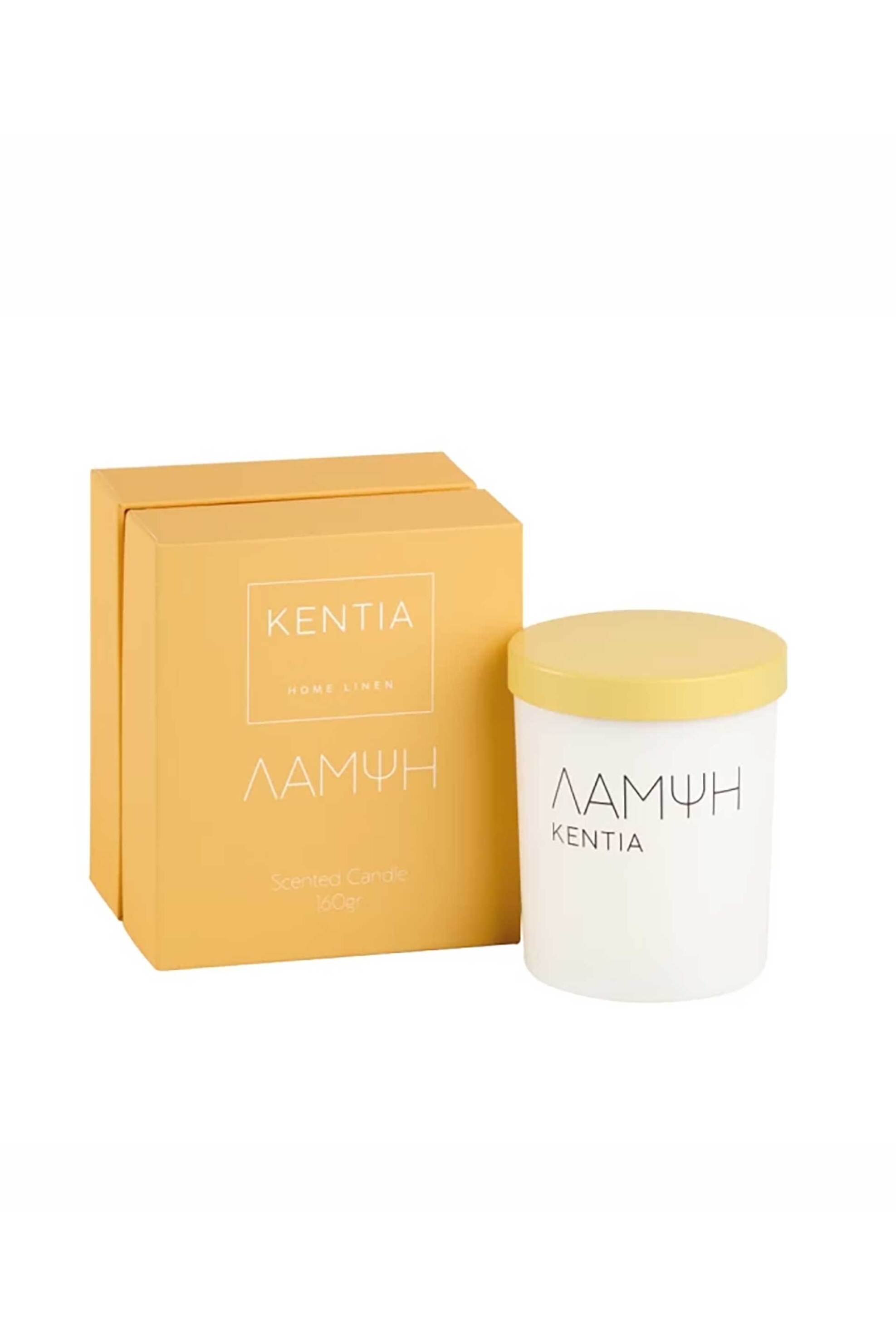 KENTIA Kentia diffuser sticks 100 ml "Λάμψη " - 000078239