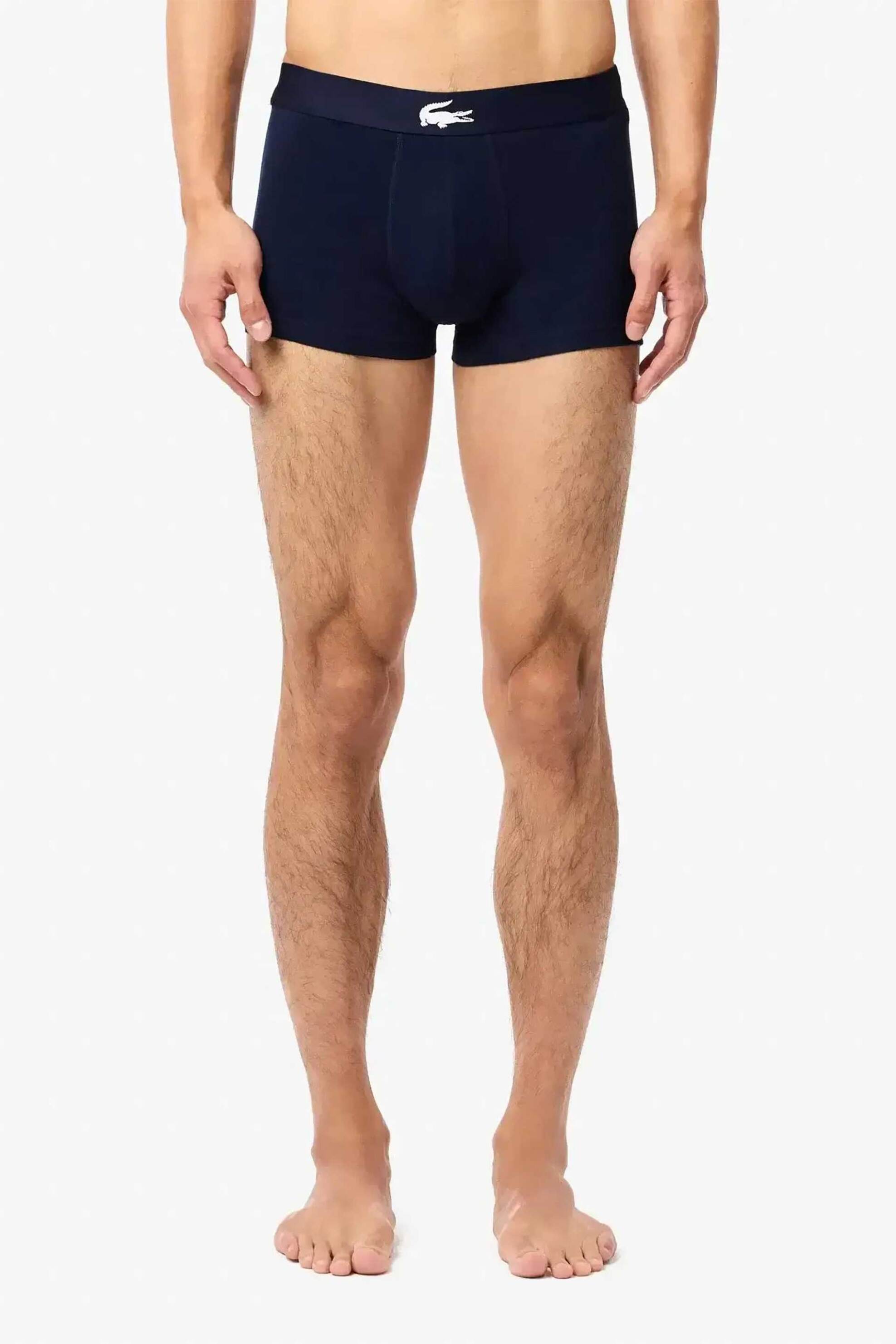 Lacoste σετ ανδρικά εσώρουχα boxer με λογότυπο (3 τεμάχια) - 5H1803 Γκρι φωτογραφία