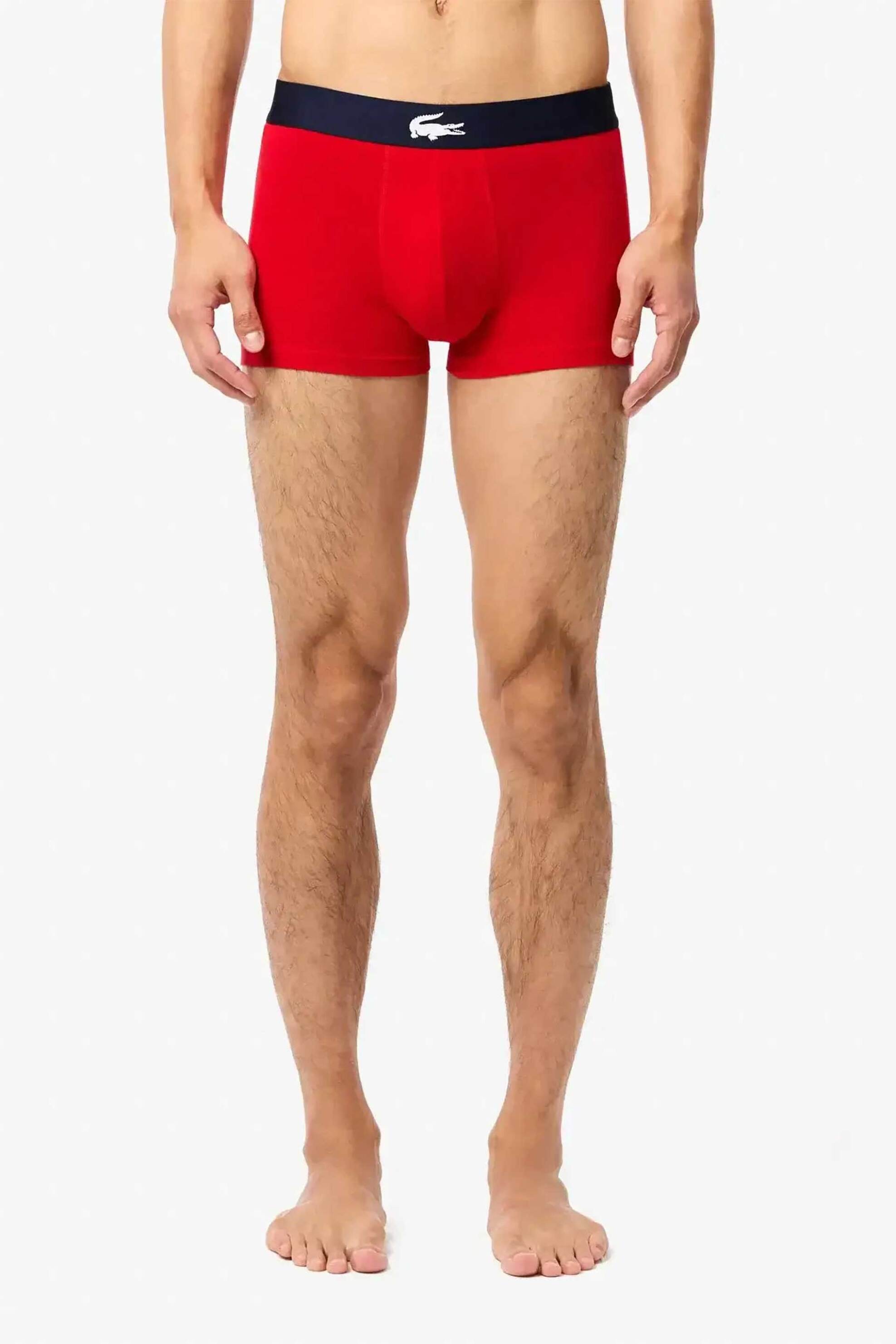 Lacoste σετ ανδρικά εσώρουχα boxer με λογότυπο (3 τεμάχια) - 5H1803 Γκρι φωτογραφία