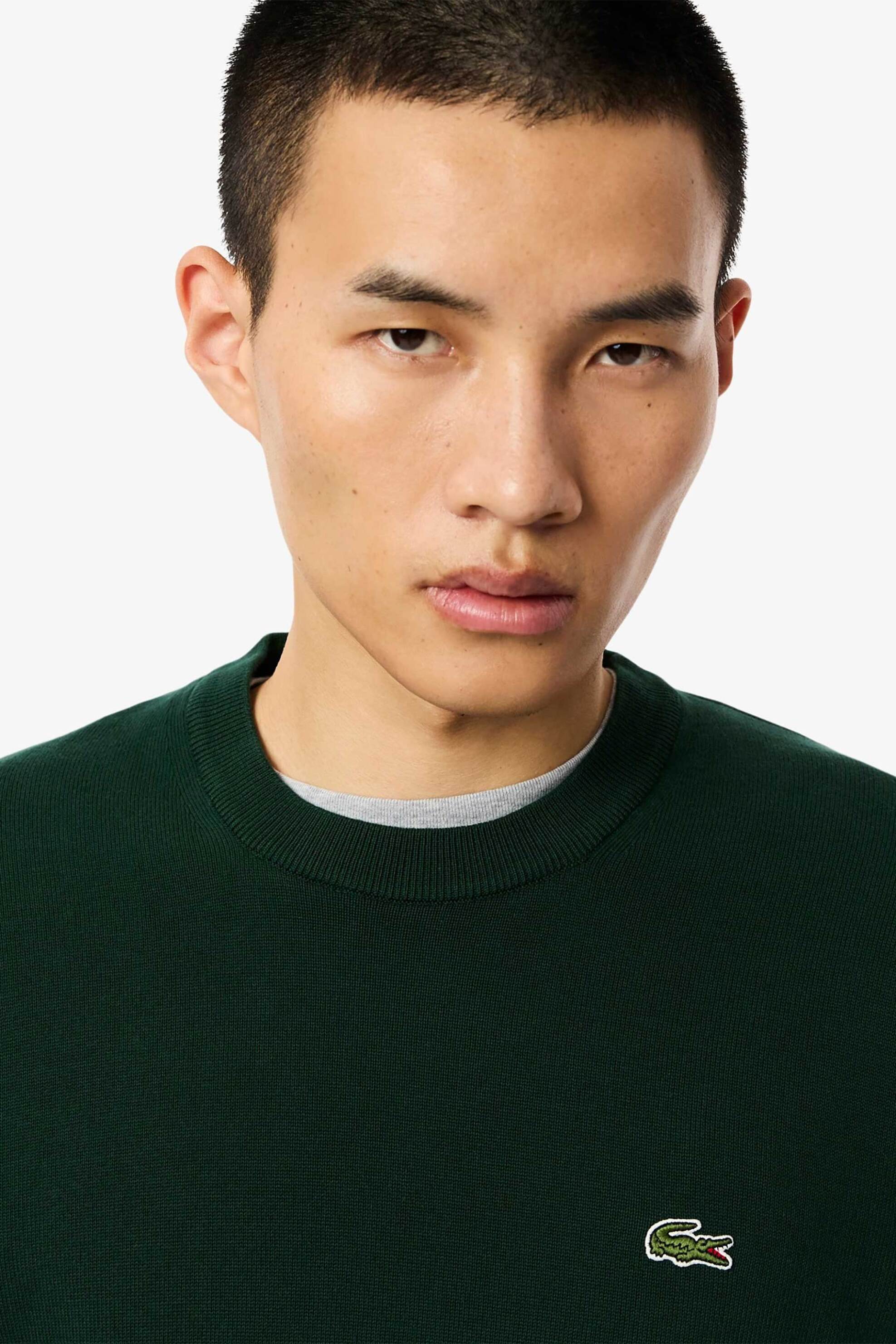 Lacoste Ανδρικό Πουλόβερ με Κεντημένο Λογότυπο Regular Fit - Ah1985 Κυπαρισσί