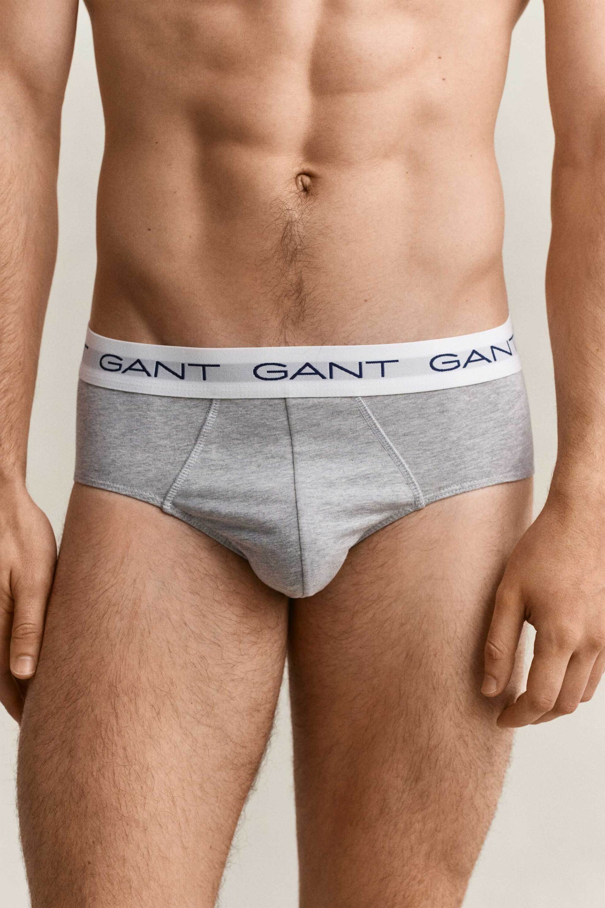 Gant σετ ανδρικά εσώρουχα σλιπ με λογότυπο Slim Fit (3 τεμάχια) - 900023001 Γκρι φωτογραφία