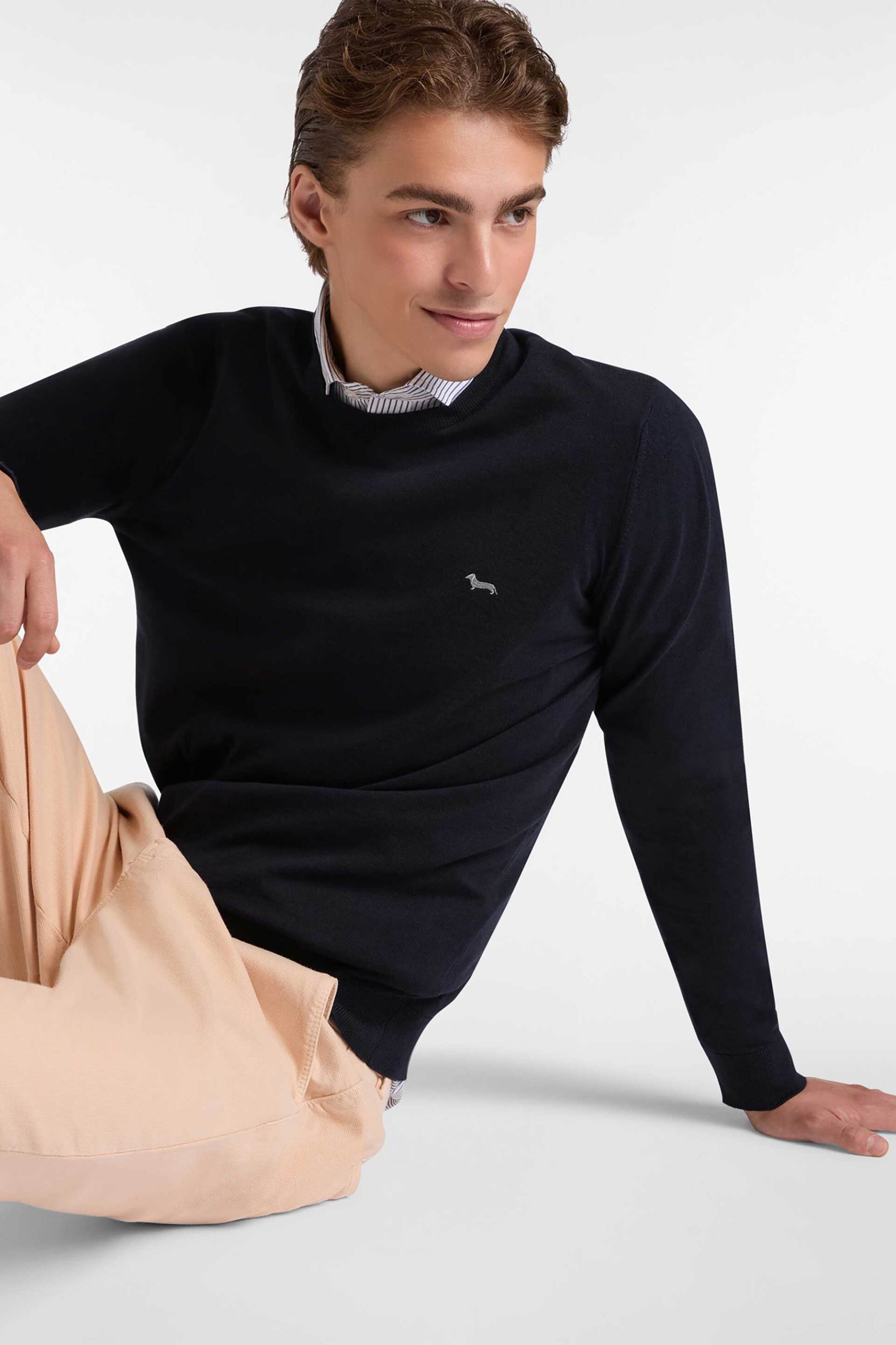 Harmont & Blaine ανδρικό πουλόβερ με κασμίρι και κεντημένο λογότυπο Regular Fit - HR1249N30744 Μπλε Σκούρο φωτογραφία