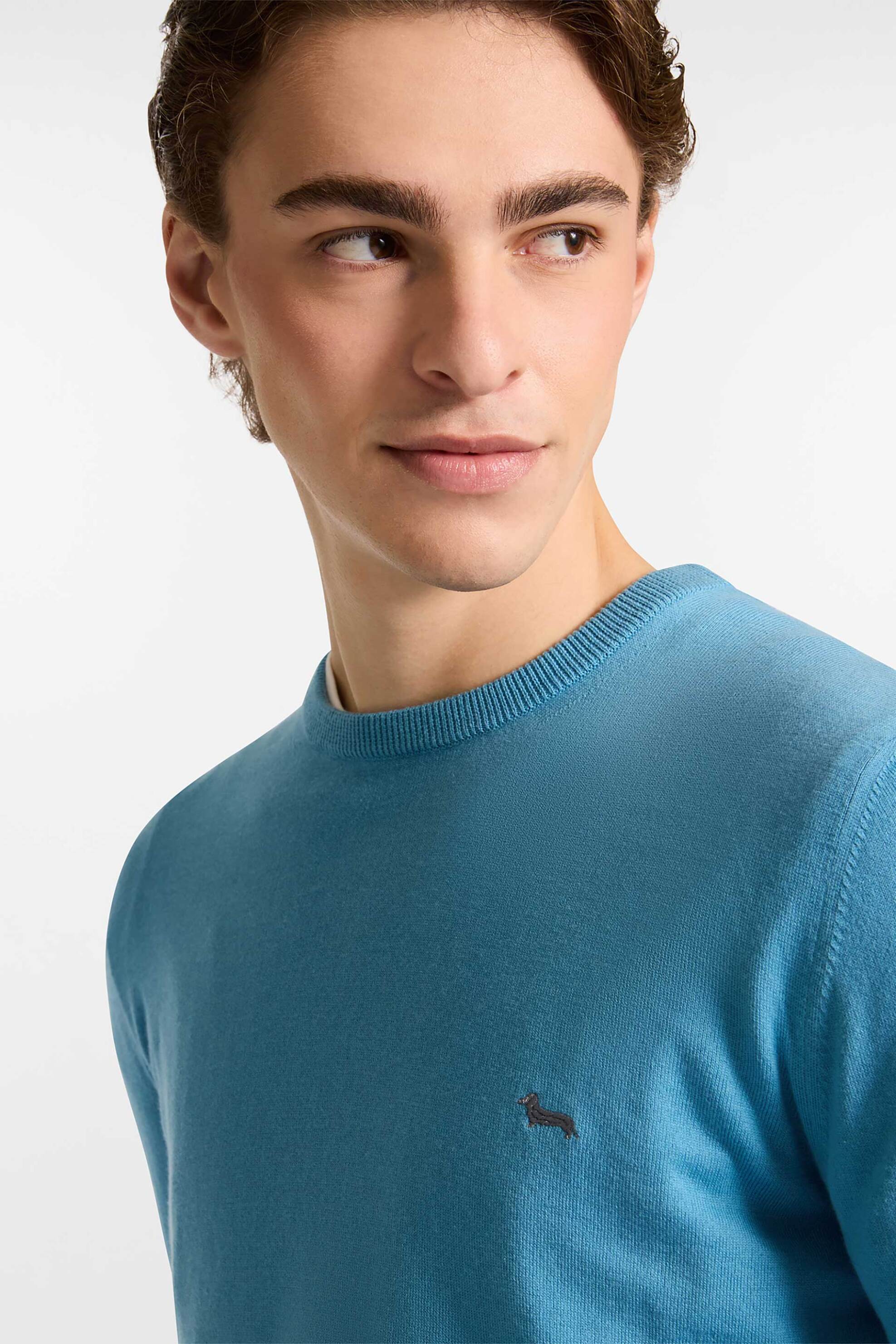 Harmont & Blaine ανδρικό πουλόβερ με κασμίρι και κεντημένο λογότυπο Regular Fit - HRP249030744 Μπλε Ανοιχτό φωτογραφία