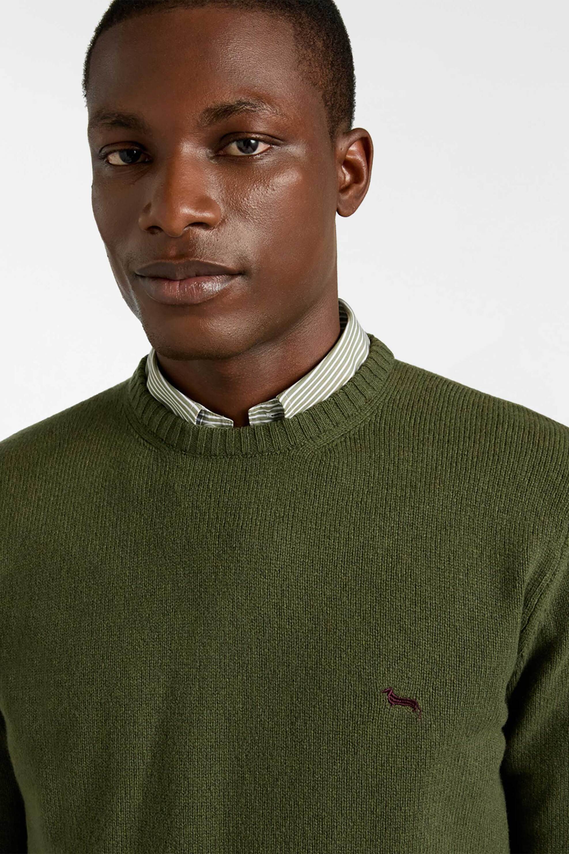 Harmont & Blaine ανδρικό μάλλινο πουλόβερ με κασμίρι και κεντημένο λογότυπο Regular Fit - HRP396030703 Χακί φωτογραφία