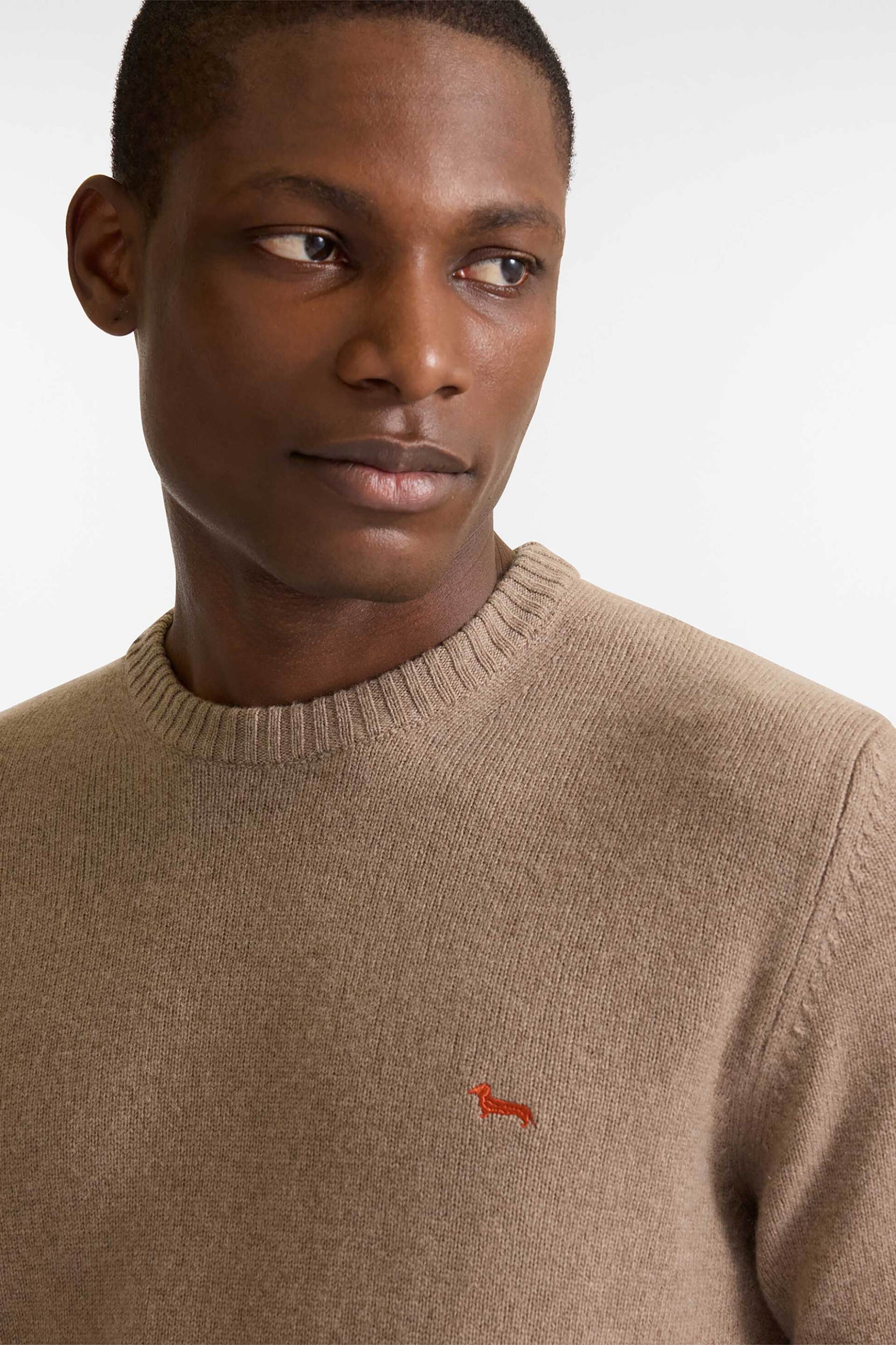 Harmont & Blaine ανδρικό μάλλινο πουλόβερ με κασμίρι και κεντημένο λογότυπο Regular Fit - HRP396030703 Μπεζ φωτογραφία