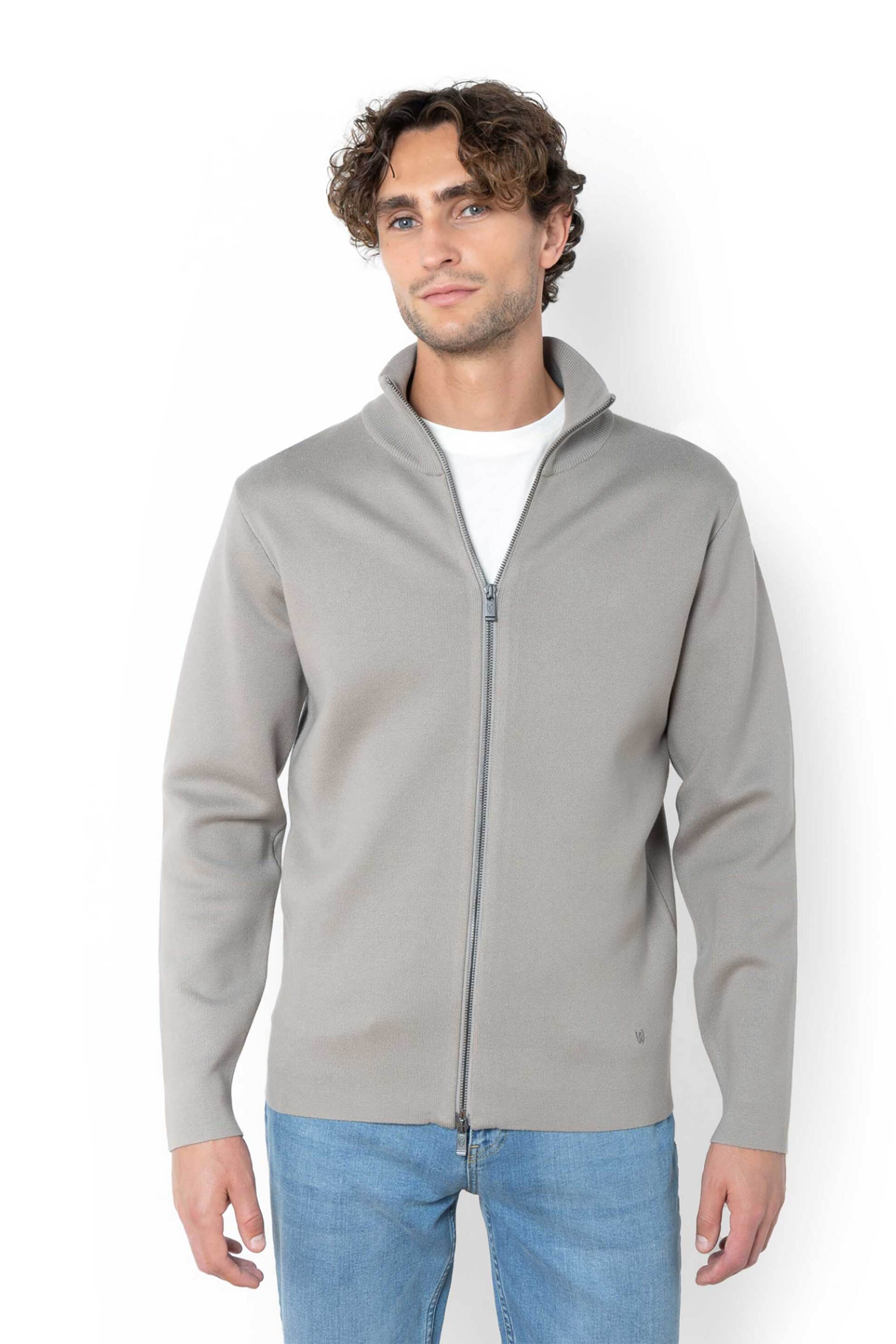 Ανδρικά πλεκτά & ζακέτες the bostonians σε γκρι