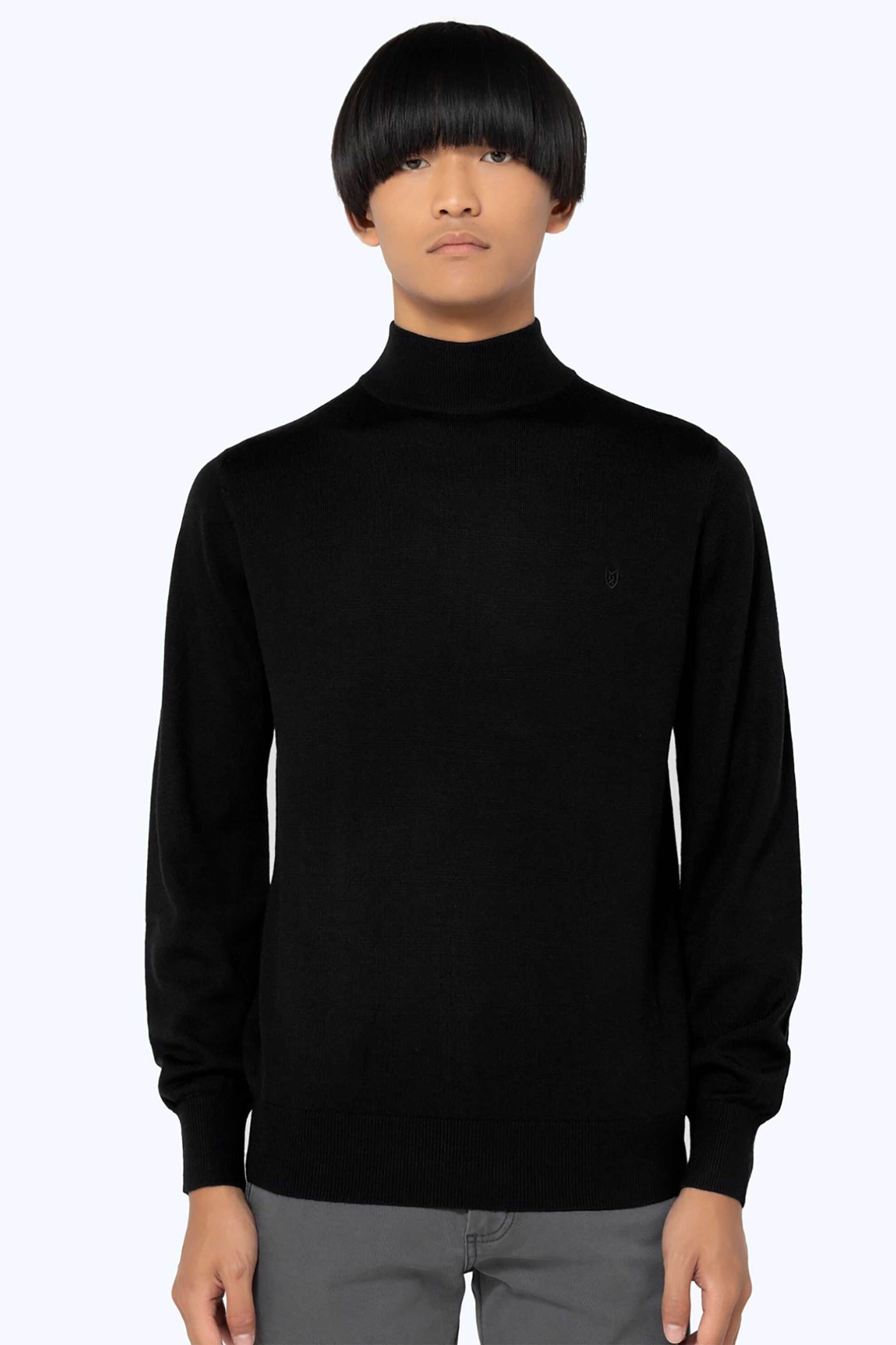 THE BOSTONIANS The Bostonians ανδρικό πουλόβερ με ψηλό λαιμό και κεντημένο λογότυπο Regular Fit - ML1001 Μαύρο