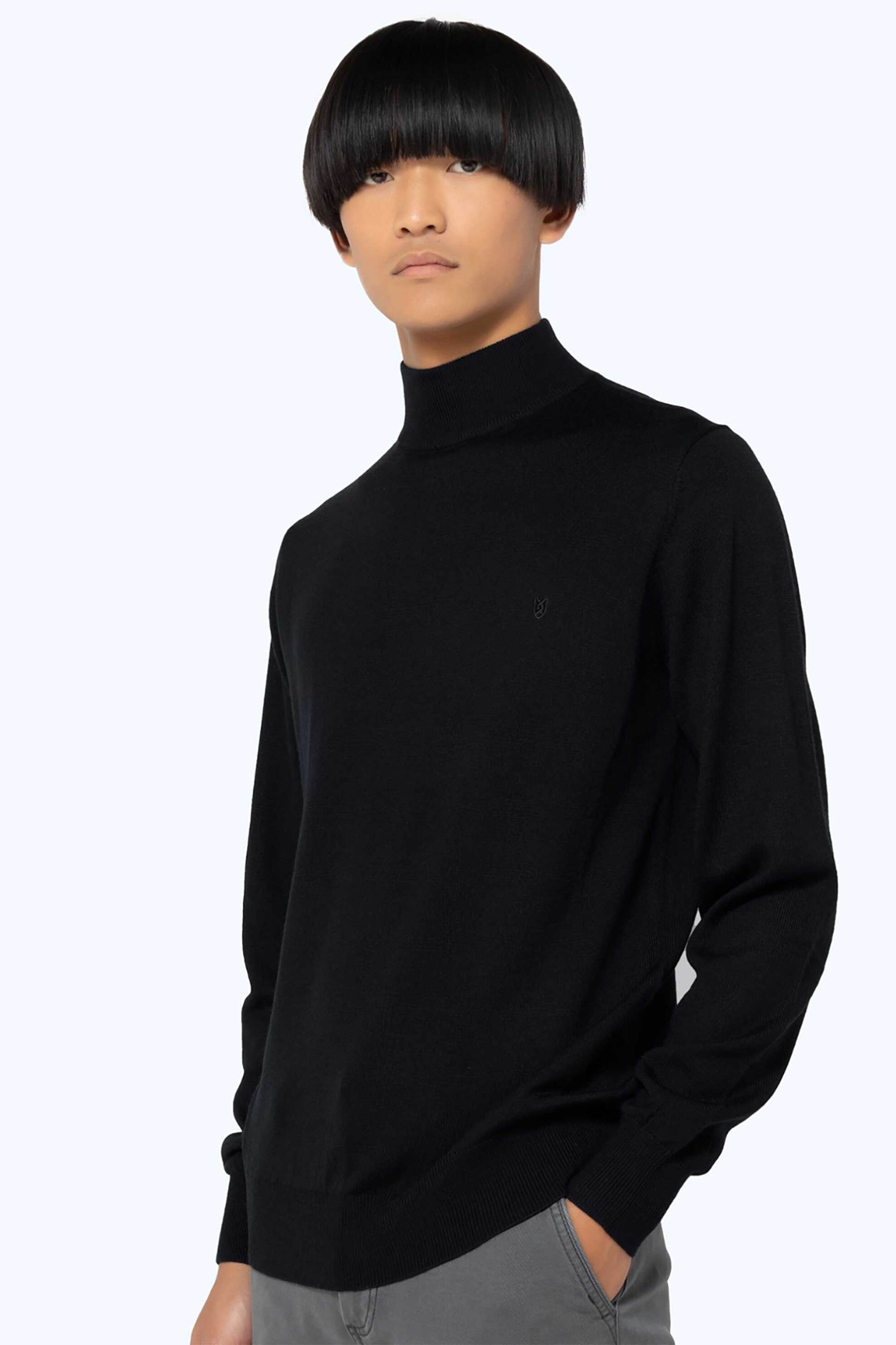 The Bostonians ανδρικό πουλόβερ με ψηλό λαιμό και κεντημένο λογότυπο Regular Fit - ML1001 Μαύρο φωτογραφία