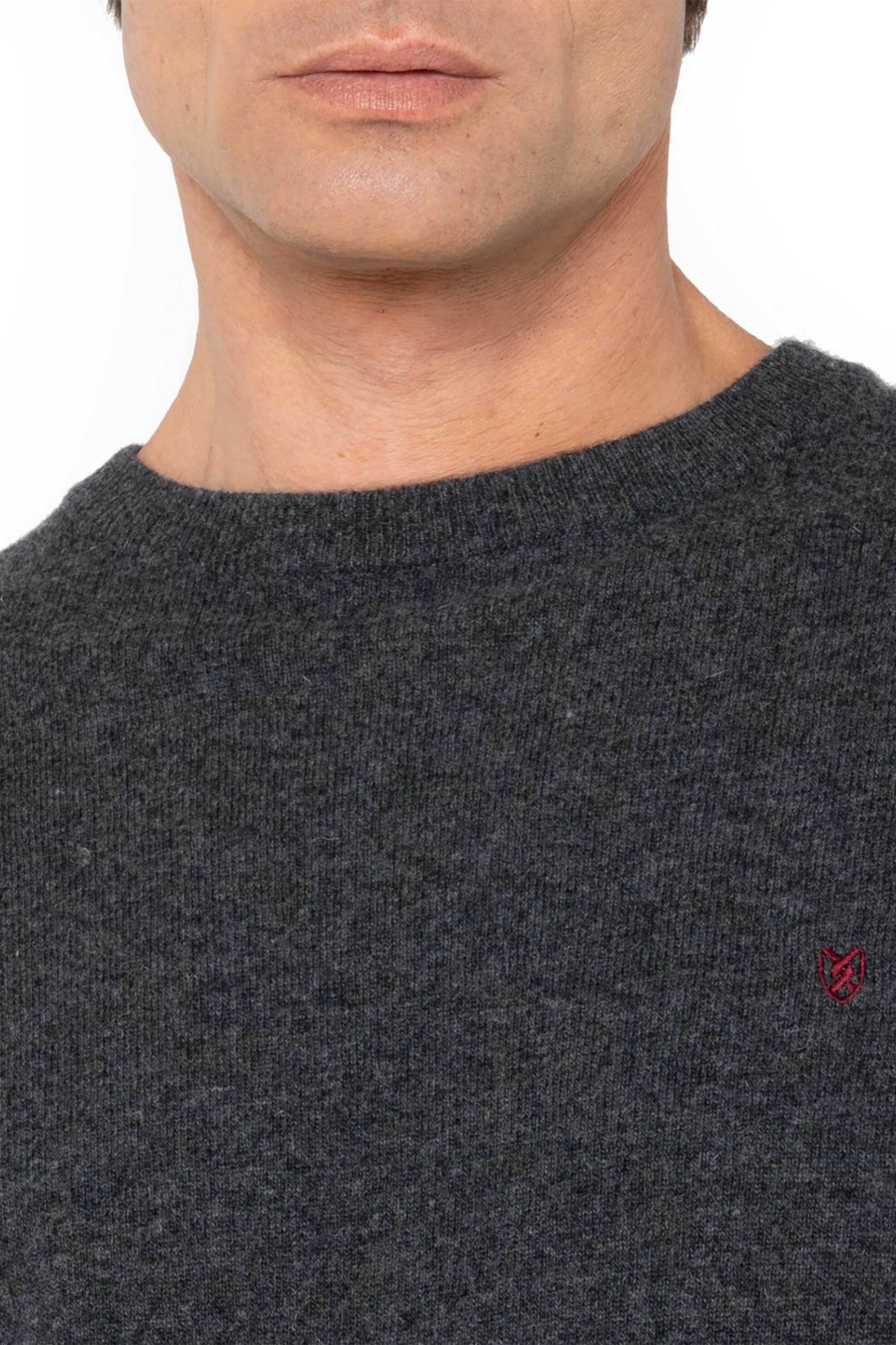 The Bostonians ανδρικό μάλλινο πουλόβερ με κεντημένο λογότυπο Regular Fit - MR00012 Ανθρακί φωτογραφία