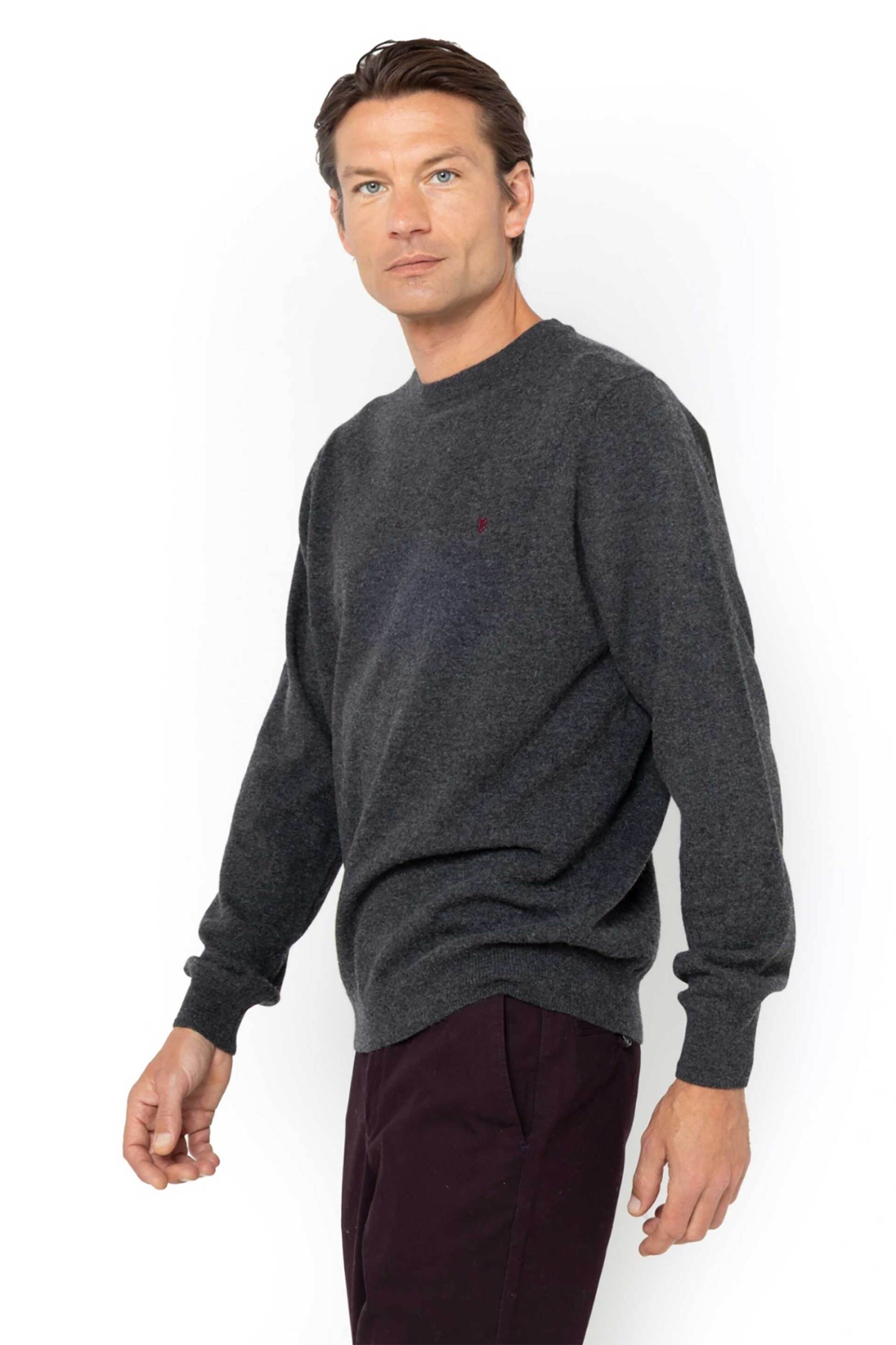 The Bostonians ανδρικό μάλλινο πουλόβερ με κεντημένο λογότυπο Regular Fit - MR00012 Ανθρακί φωτογραφία