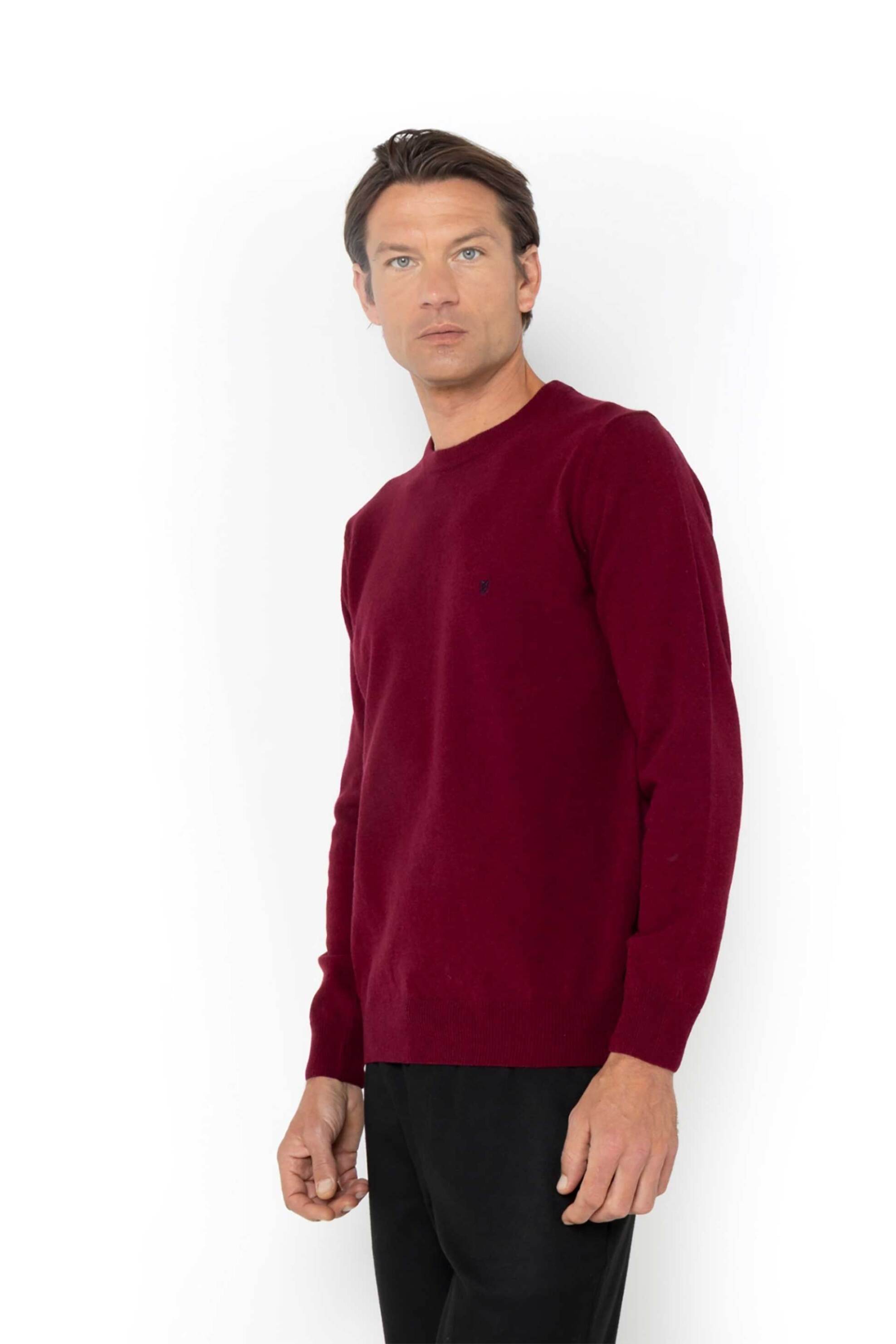 The Bostonians ανδρικό μάλλινο πουλόβερ με κεντημένο λογότυπο Regular Fit - MR00012 Μπορντό φωτογραφία