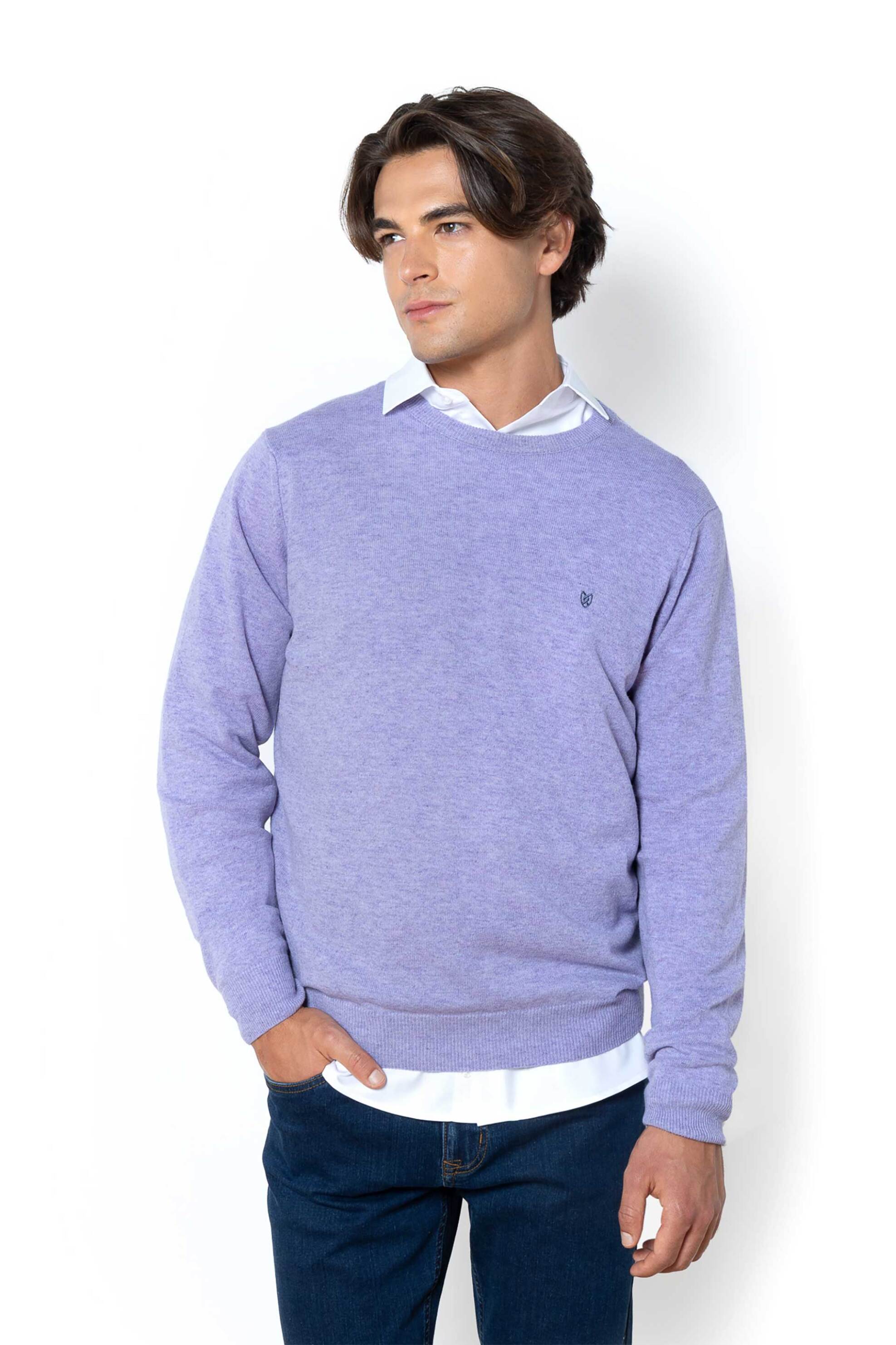 THE BOSTONIANS The Bostonians ανδρικό μάλλινο πουλόβερ με κεντημένο λογότυπο Regular Fit - MR00012 Λιλά