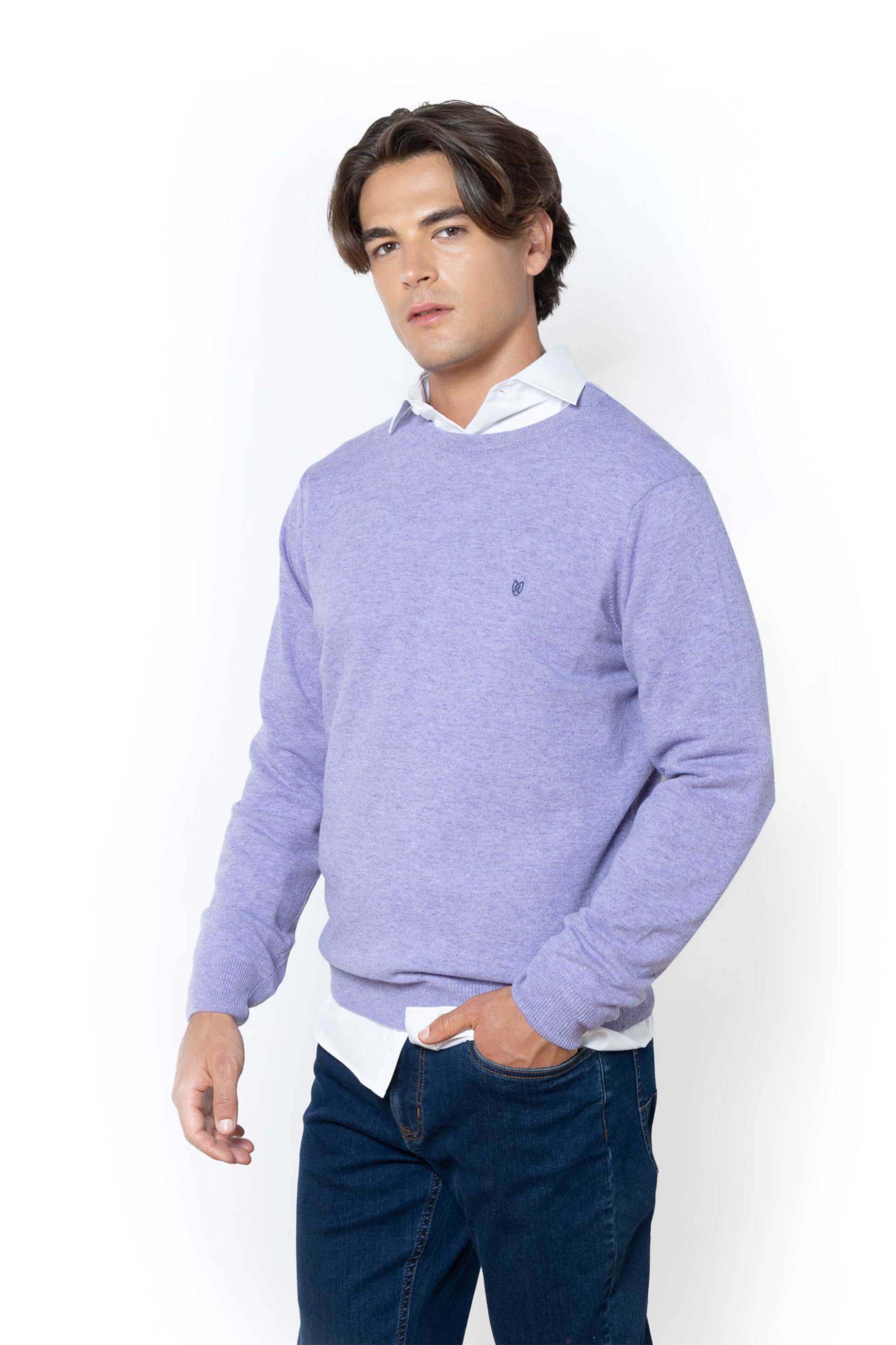 The Bostonians ανδρικό μάλλινο πουλόβερ με κεντημένο λογότυπο Regular Fit - MR00012 Λιλά φωτογραφία