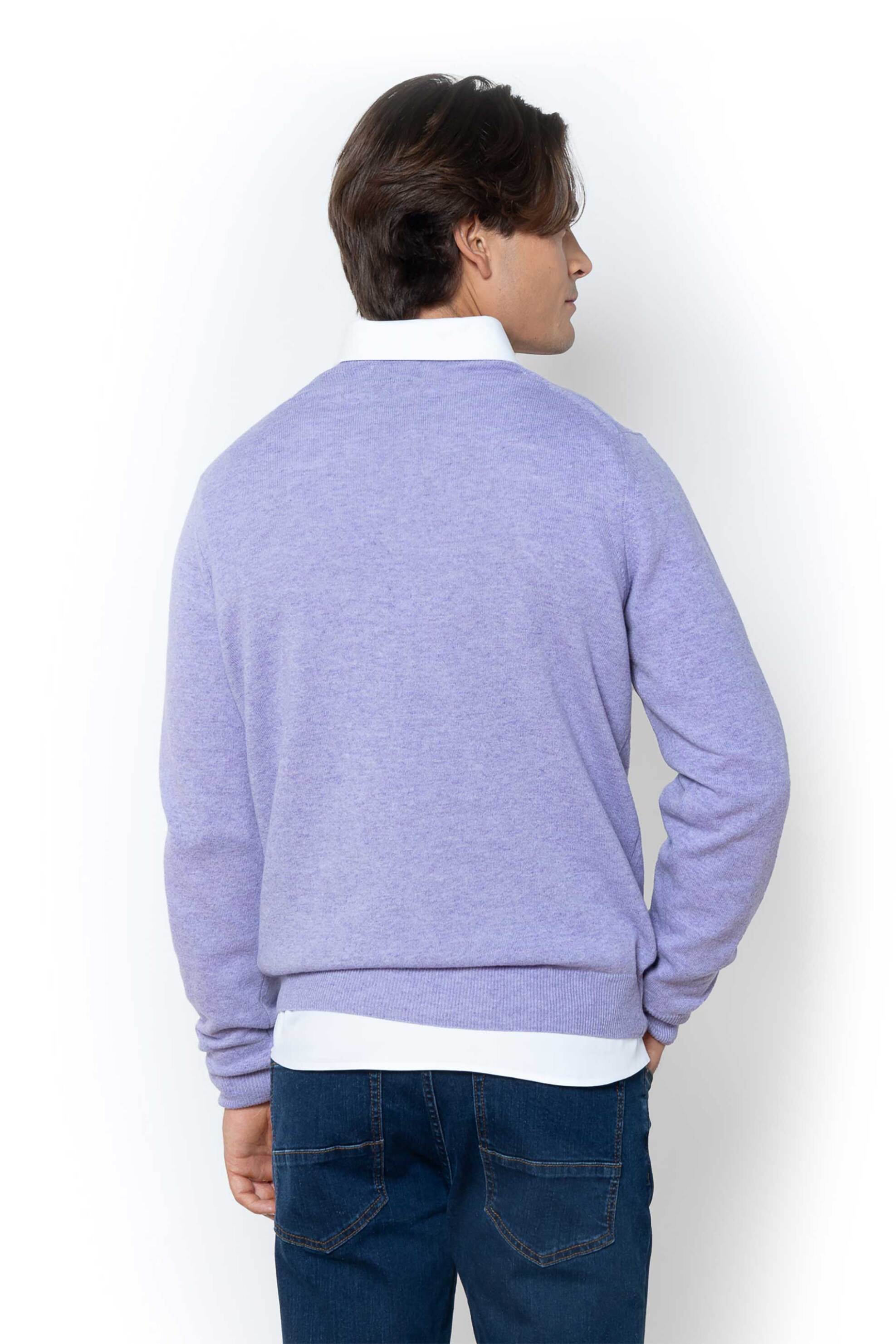 The Bostonians ανδρικό μάλλινο πουλόβερ με κεντημένο λογότυπο Regular Fit - MR00012 Λιλά φωτογραφία