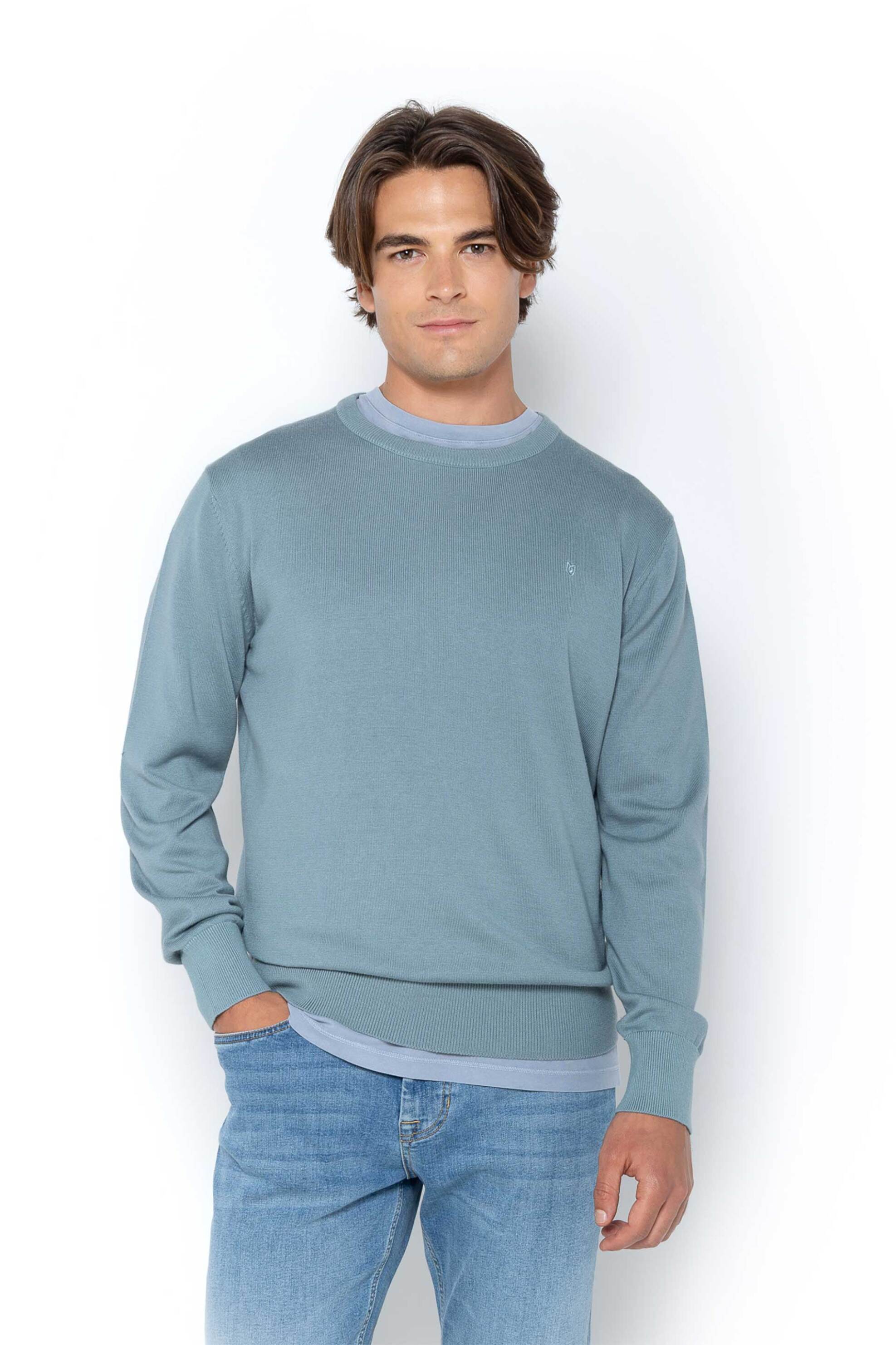 THE BOSTONIANS The Bostonians ανδρικό πουλόβερ μονόχρωμο με κεντημένο λογότυπο Regular Fit - MR1063 Πράσινο Μέντας