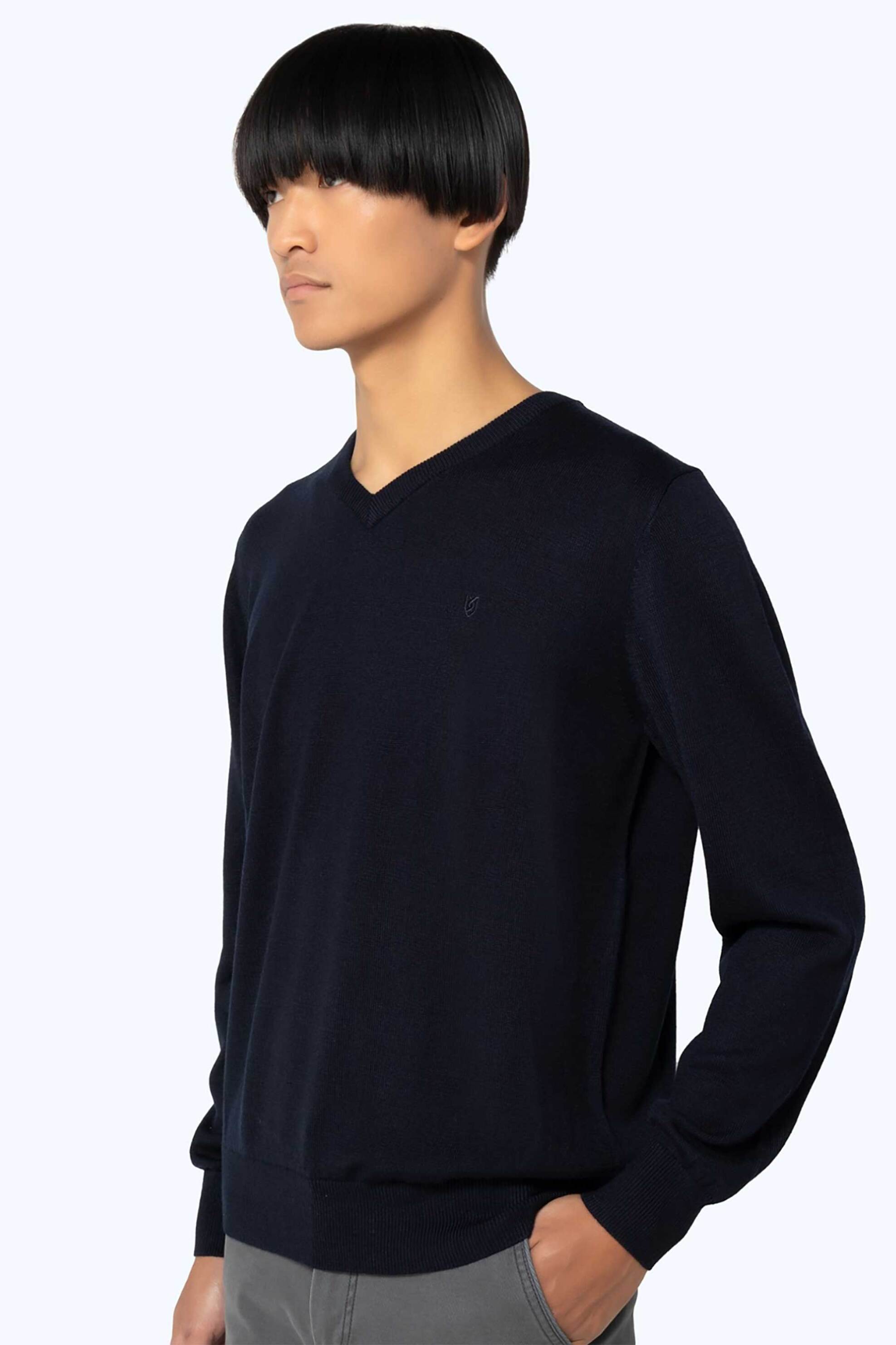 The Bostonians ανδρική πλεκτή μπλούζα με V και κεντημένο λογότυπο Regular Fit - MV1001 Μπλε Σκούρο φωτογραφία