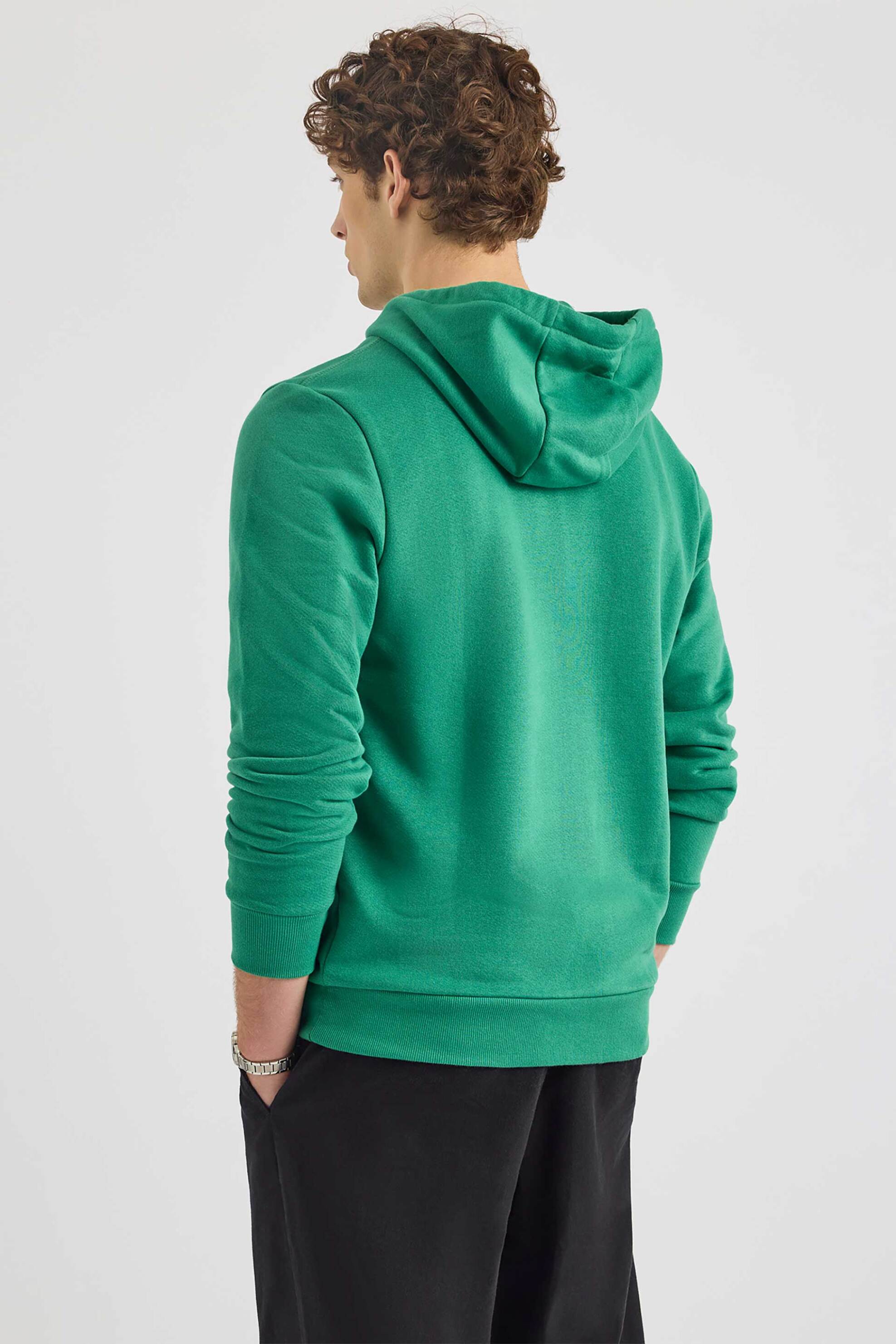 Nautica ανδρική μπλούζα φούτερ με κουκούλα και λογότυπο - N1S03499 Πράσινο Σμαραγδί φωτογραφία