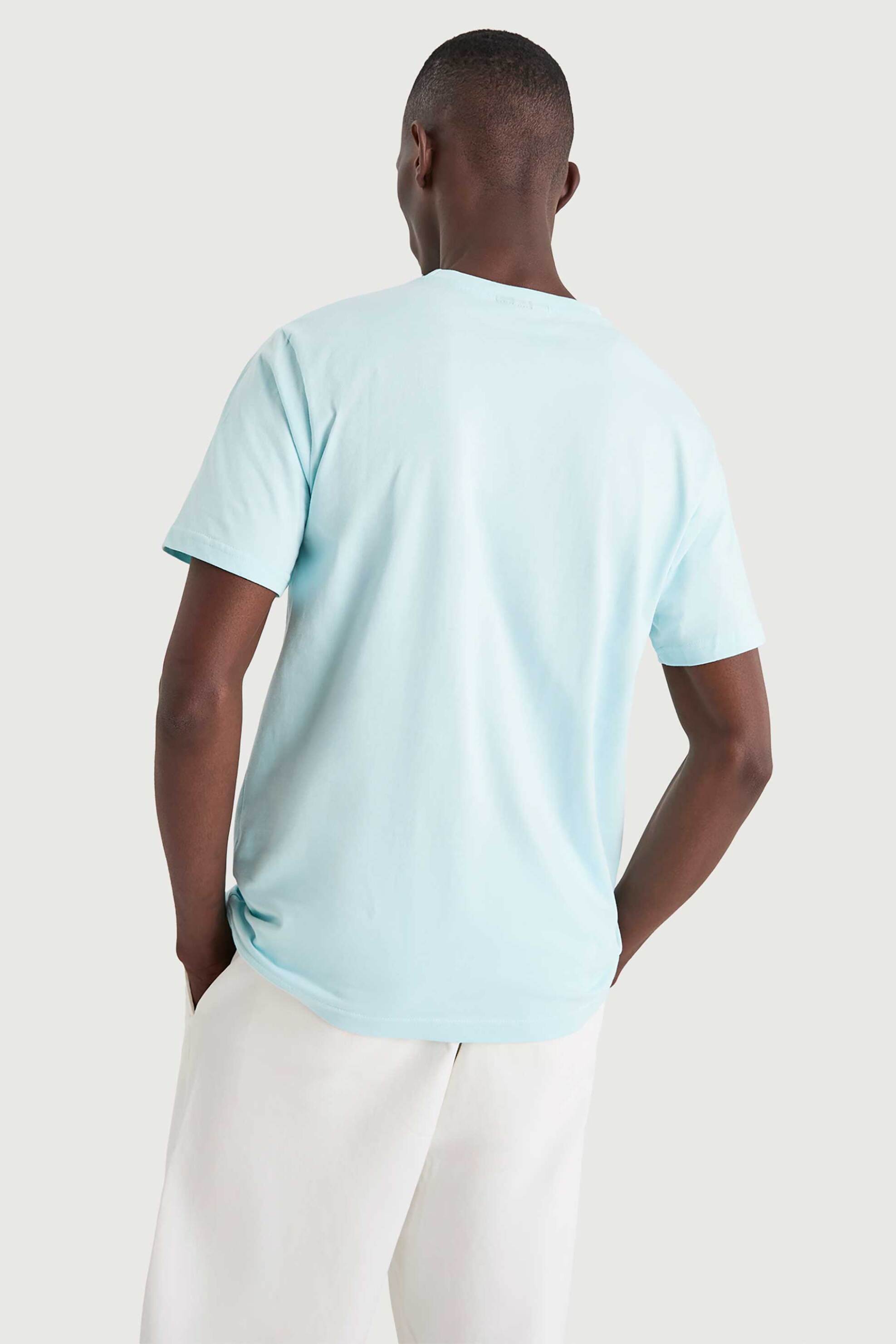 Nautica Ανδρικό T-Shirt με Graphic Print Medway - N1V04019 Βεραμάν Ανοιχτό