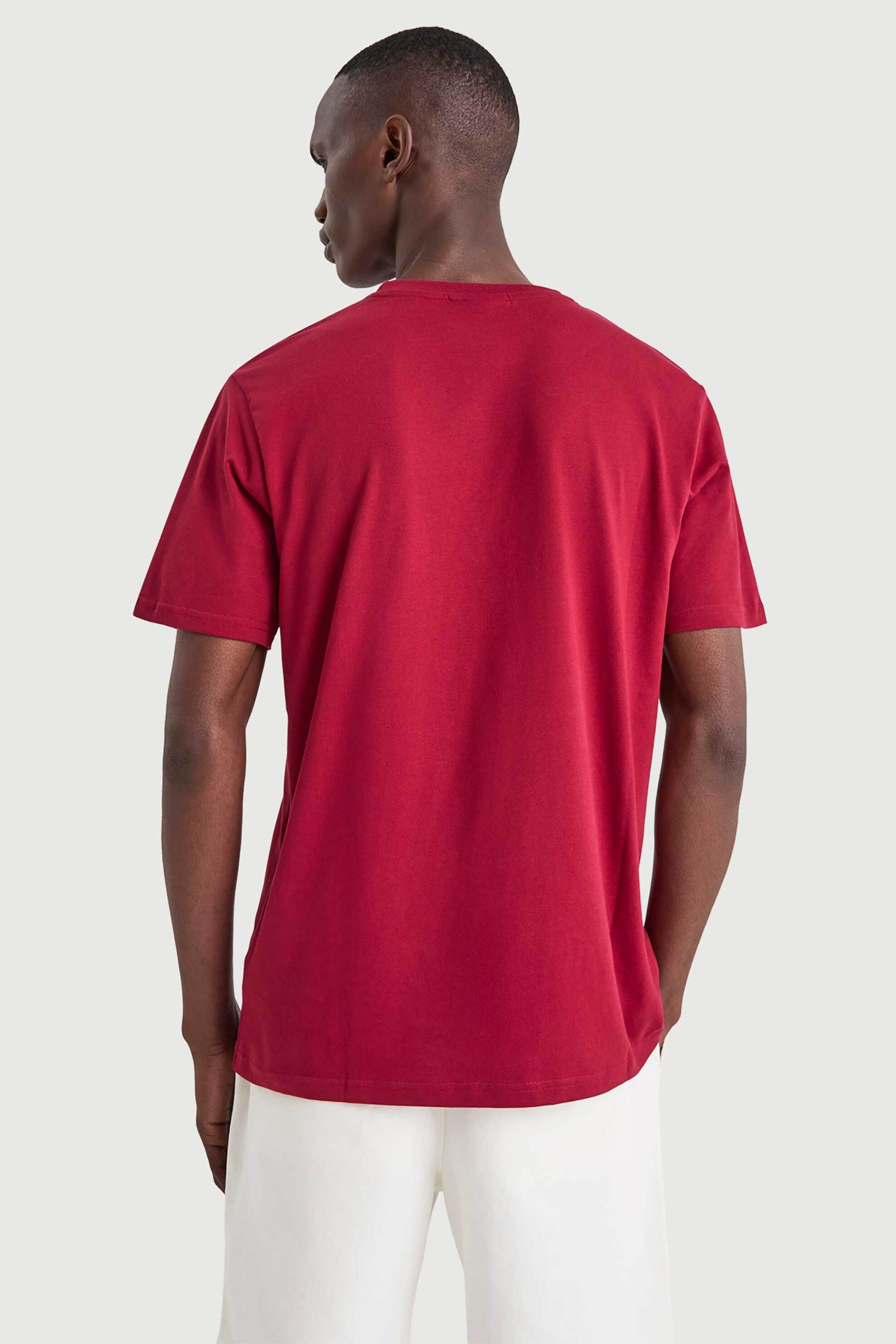 Nautica Ανδρικό T-Shirt με Graphic Print Parett - N1V04026 Κόκκινο Indian