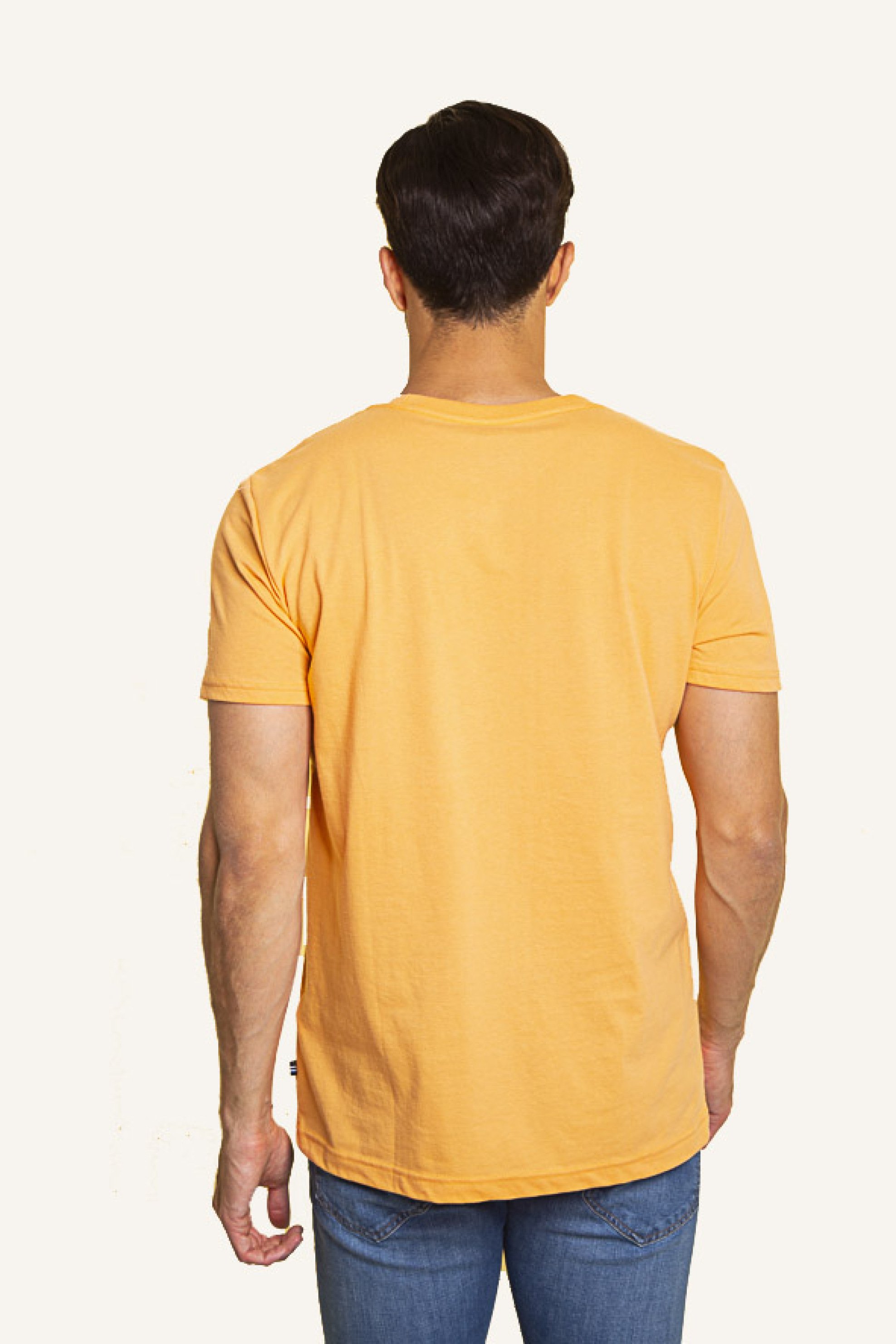 Nautica Ανδρικό T-Shirt με Graphic Print Regular Fit - V45112 Μουσταρδί