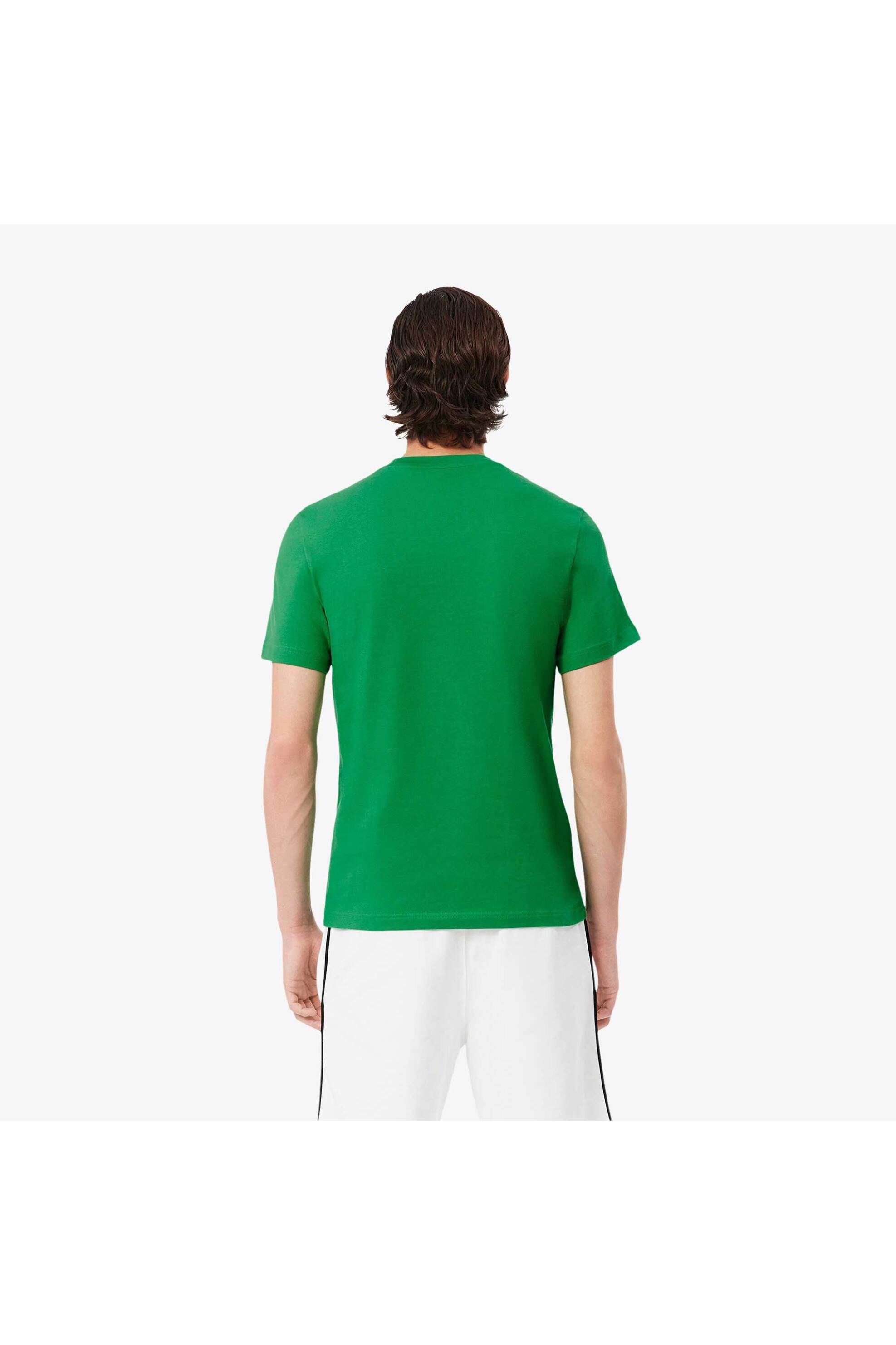 Lacoste ανδρικό T-shirt με contrast ρίγα και κεντημένο λογότυπο Regular Fit - TH9842-00 Πράσινο φωτογραφία