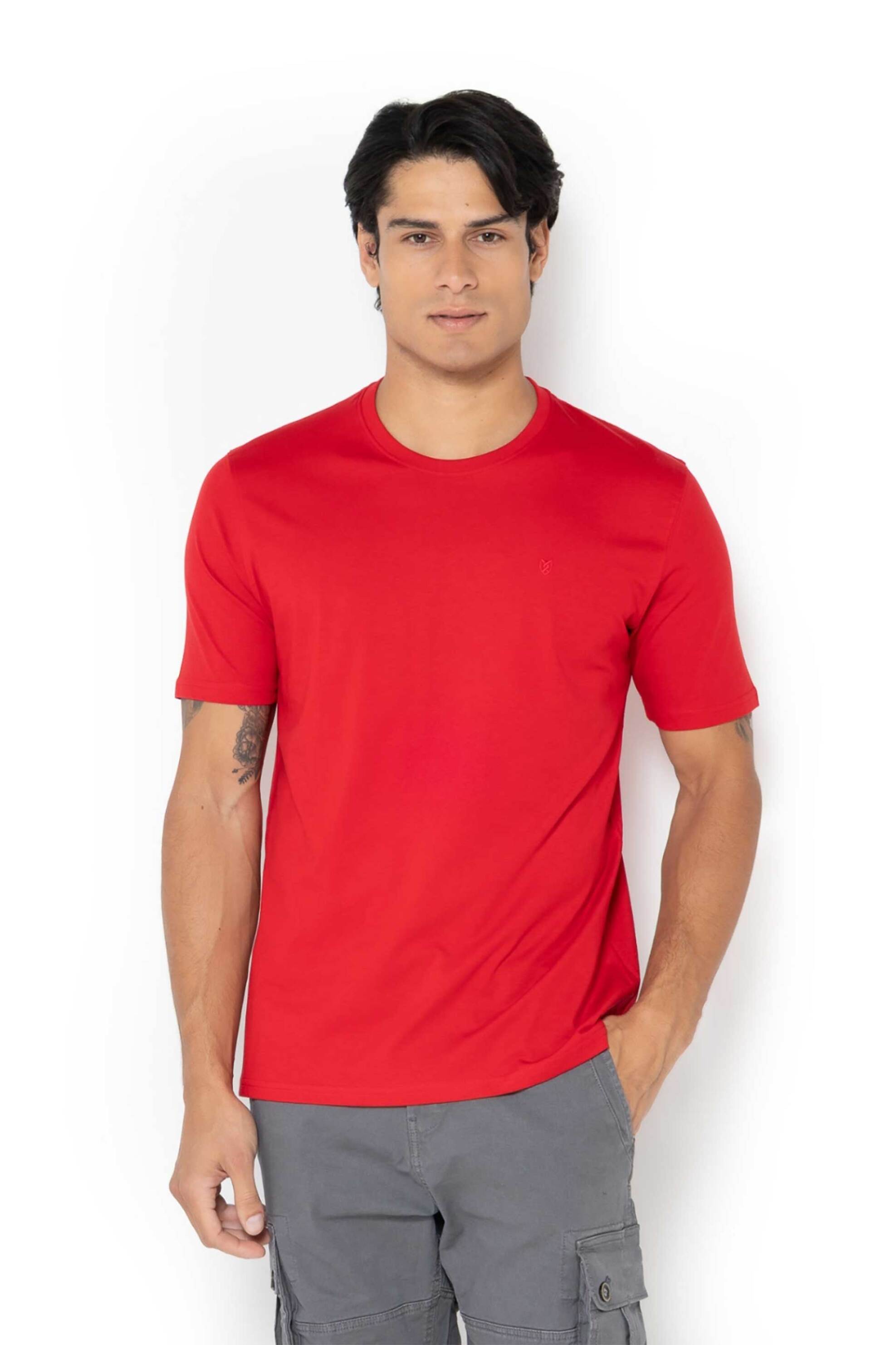 The Bostonians ανδρικό T-shirt μονόχρωμο με κεντημένο λογότυπο Regular Fit "Essential" - TS1241N Κόκκινο