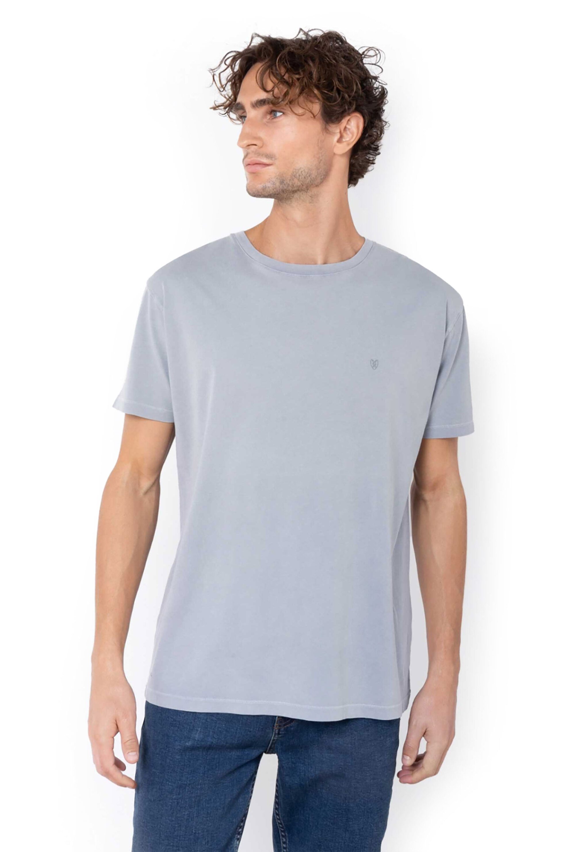 The Bostonians ανδρικό T-shirt μονόχρωμο με κεντημένο λογότυπο Regular Fit - TS1250 Γκρι