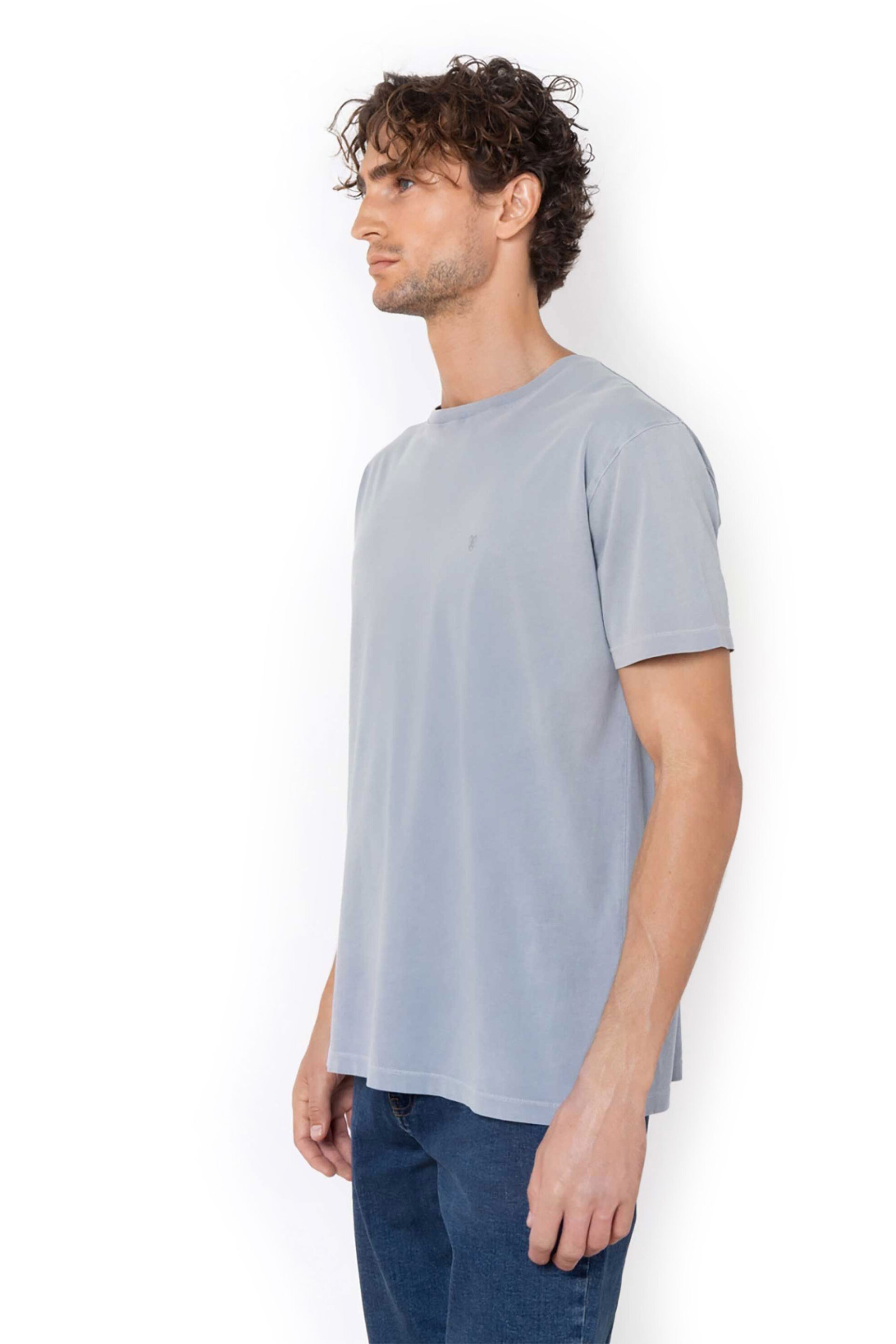 The Bostonians ανδρικό T-shirt μονόχρωμο με κεντημένο λογότυπο Regular Fit - TS1250 Γκρι φωτογραφία