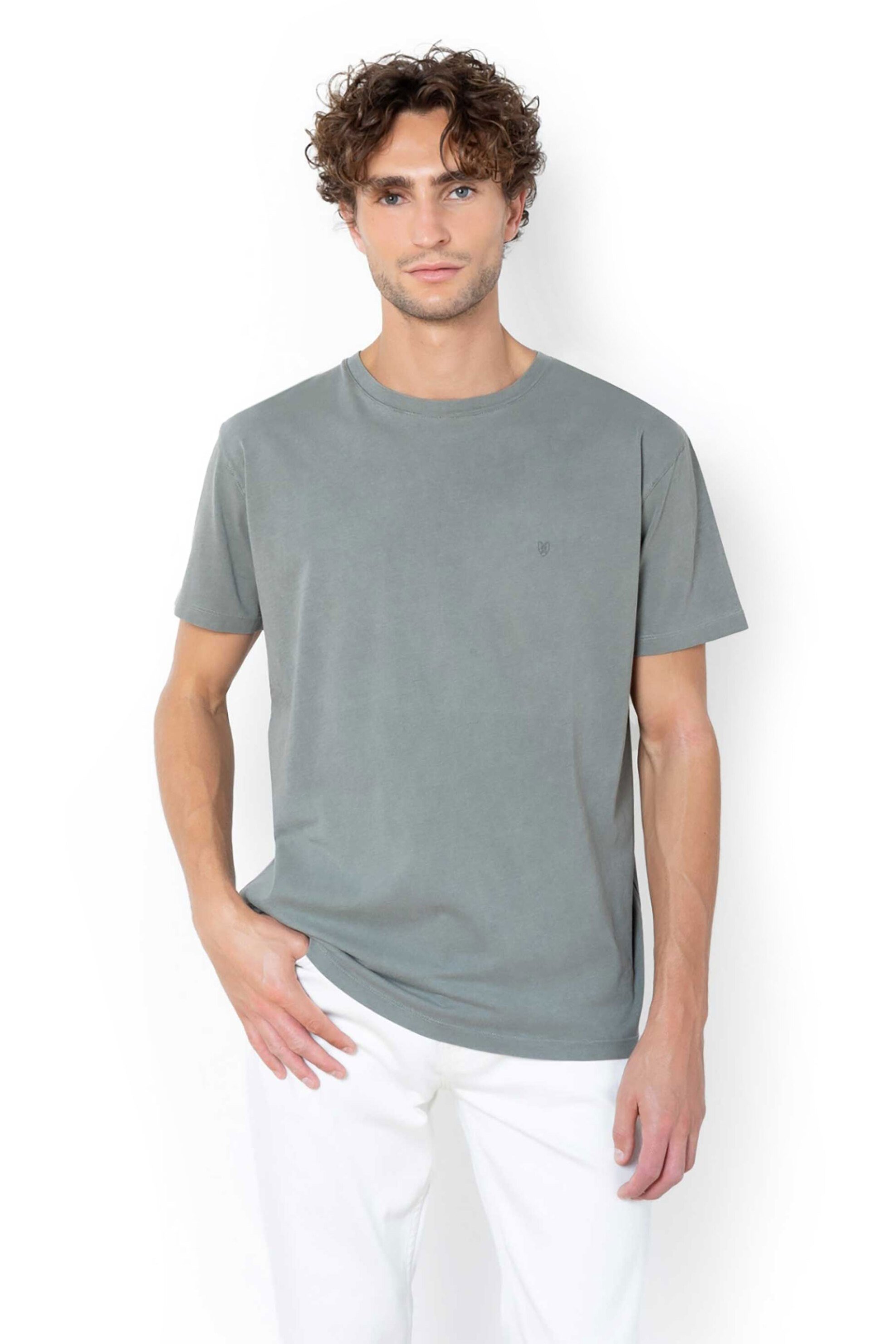 The Bostonians ανδρικό T-shirt μονόχρωμο με κεντημένο λογότυπο Regular Fit - TS1250 Πράσινο Μέντας