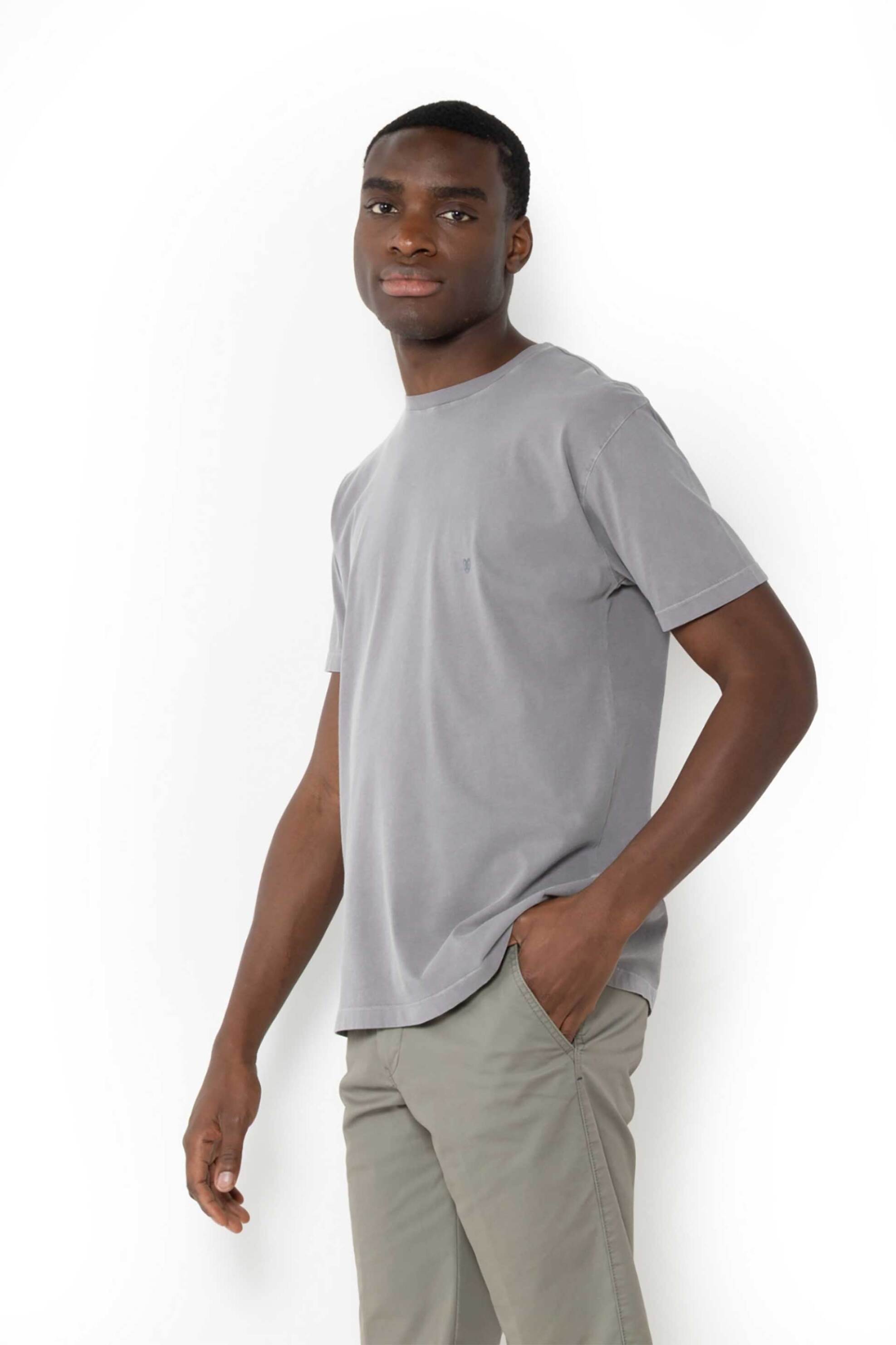 The Bostonians ανδρικό T-shirt μονόχρωμο με κεντημένο λογότυπο Regular Fit - TS1250 Γκρι Σκούρο φωτογραφία