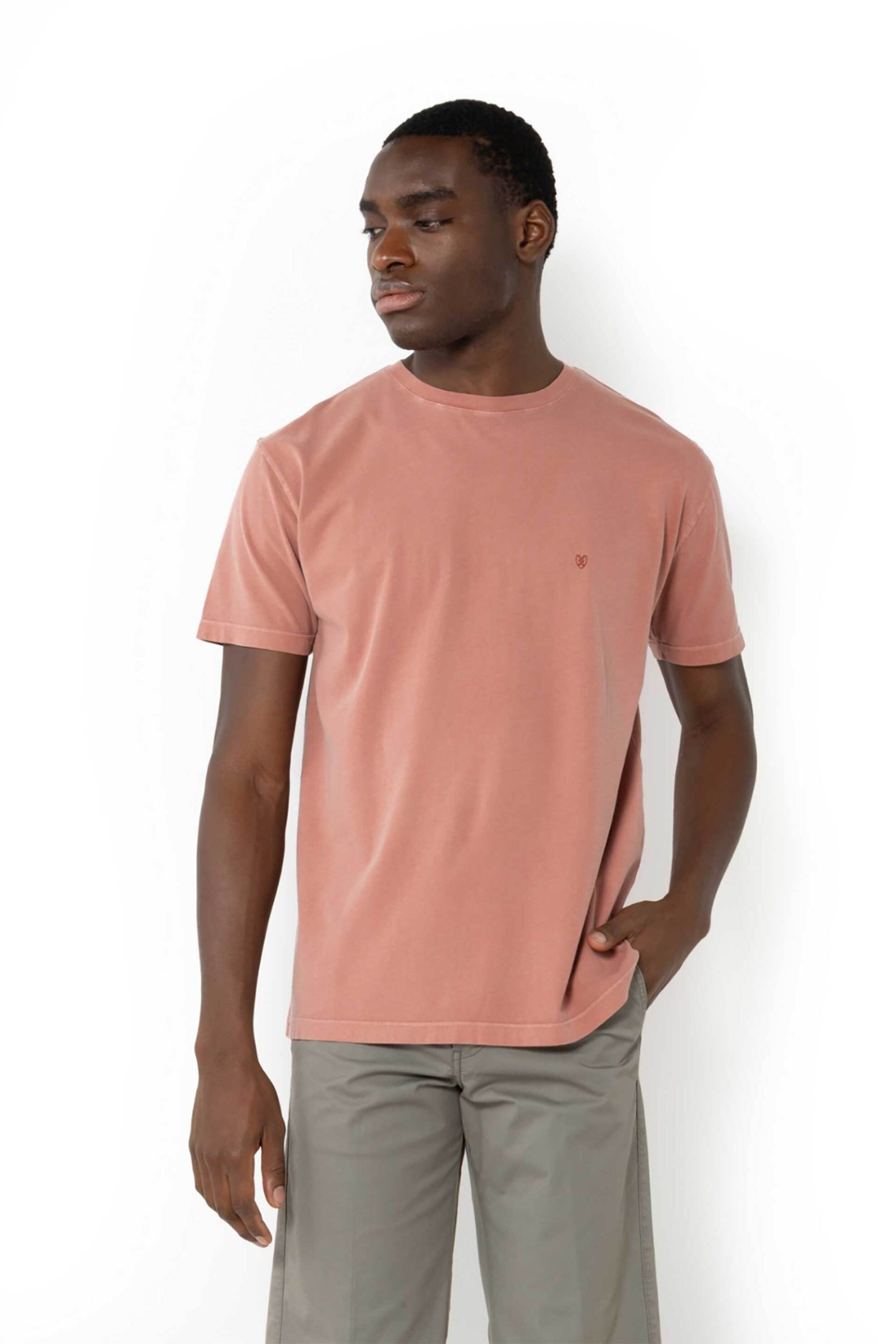 The Bostonians ανδρικό T-shirt μονόχρωμο με κεντημένο λογότυπο Regular Fit - TS1250 Σάπιο Μήλο