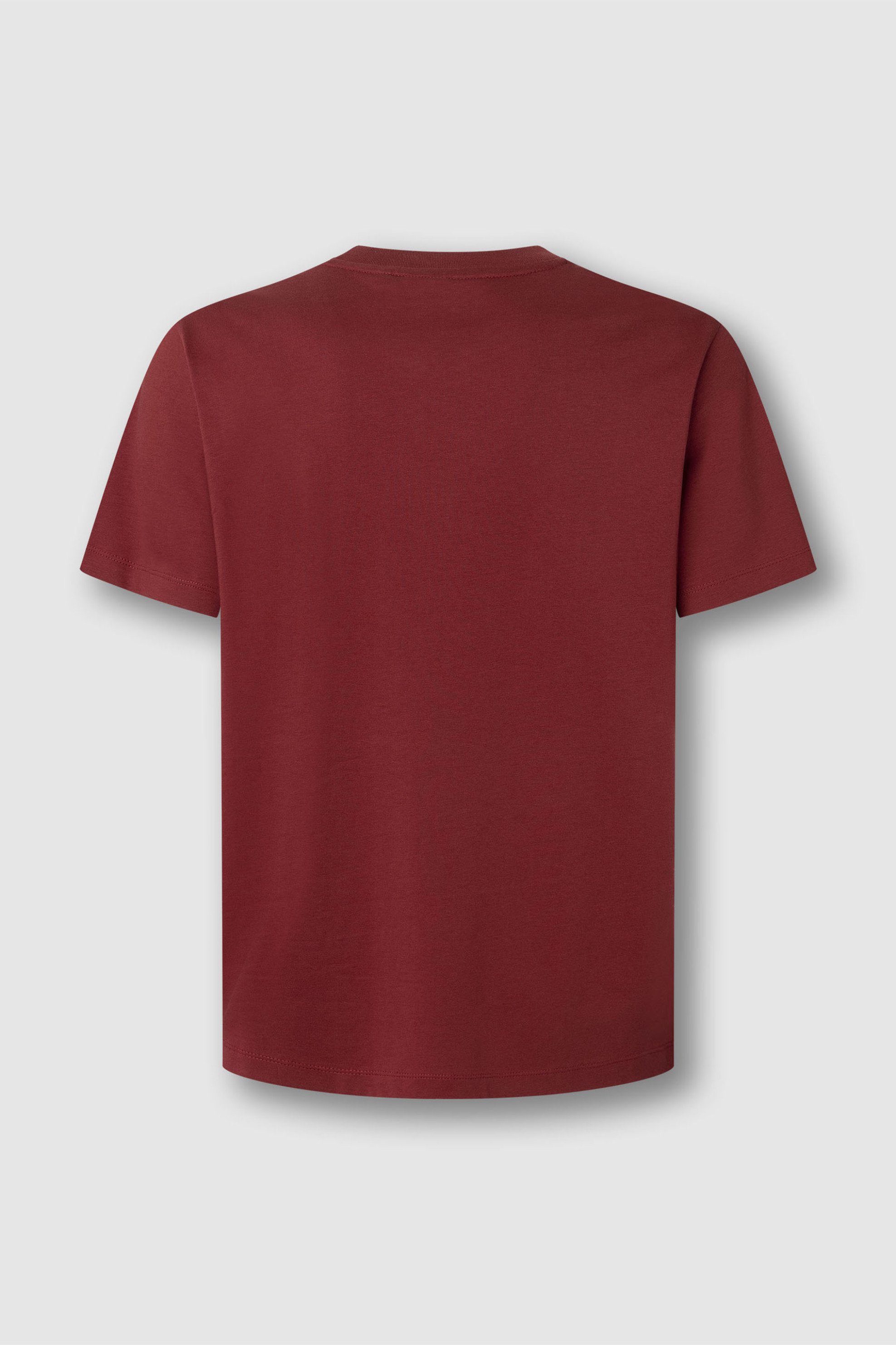 Pepe Jeans Ανδρικό T-Shirt Μονόχρωμο με Logo Print Griffin - Pm5010175 Κεραμιδί