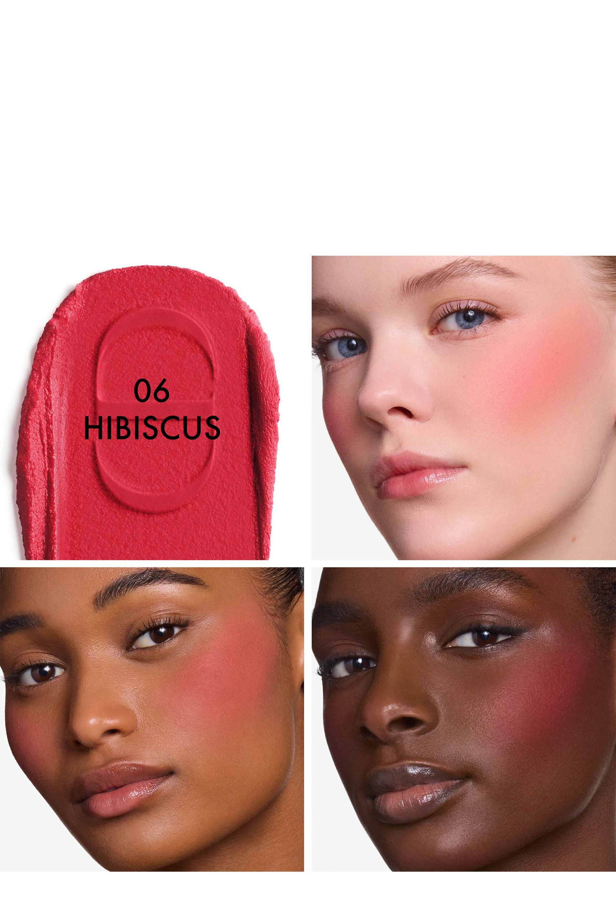 Dior Forever Blush Soft Filter Whipped Liquid - Radiant Matte Finish 11 ML E000000435 06 Hibiscus