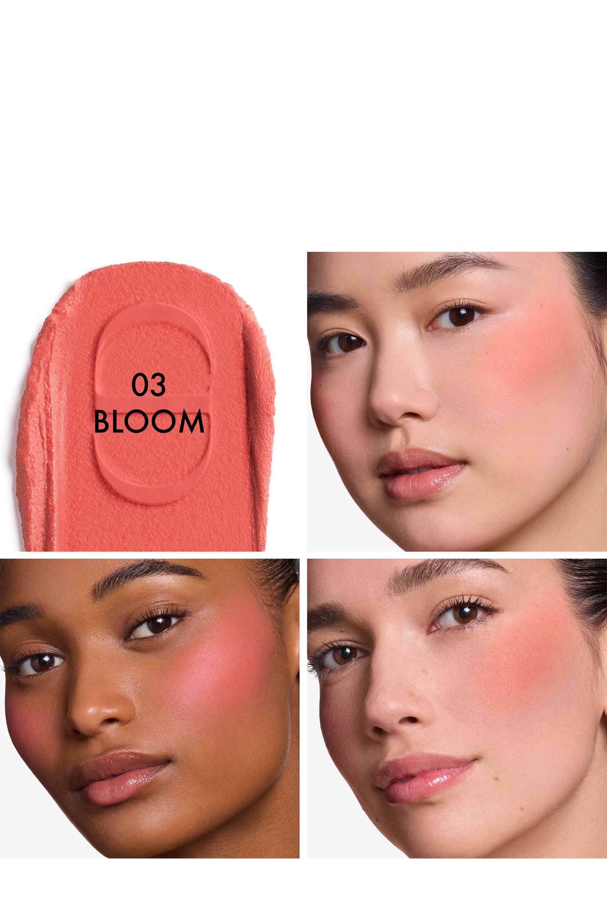 Dior Forever Blush Soft Filter Whipped Liquid - Radiant Matte Finish 11 ML E000000435 03 Bloom