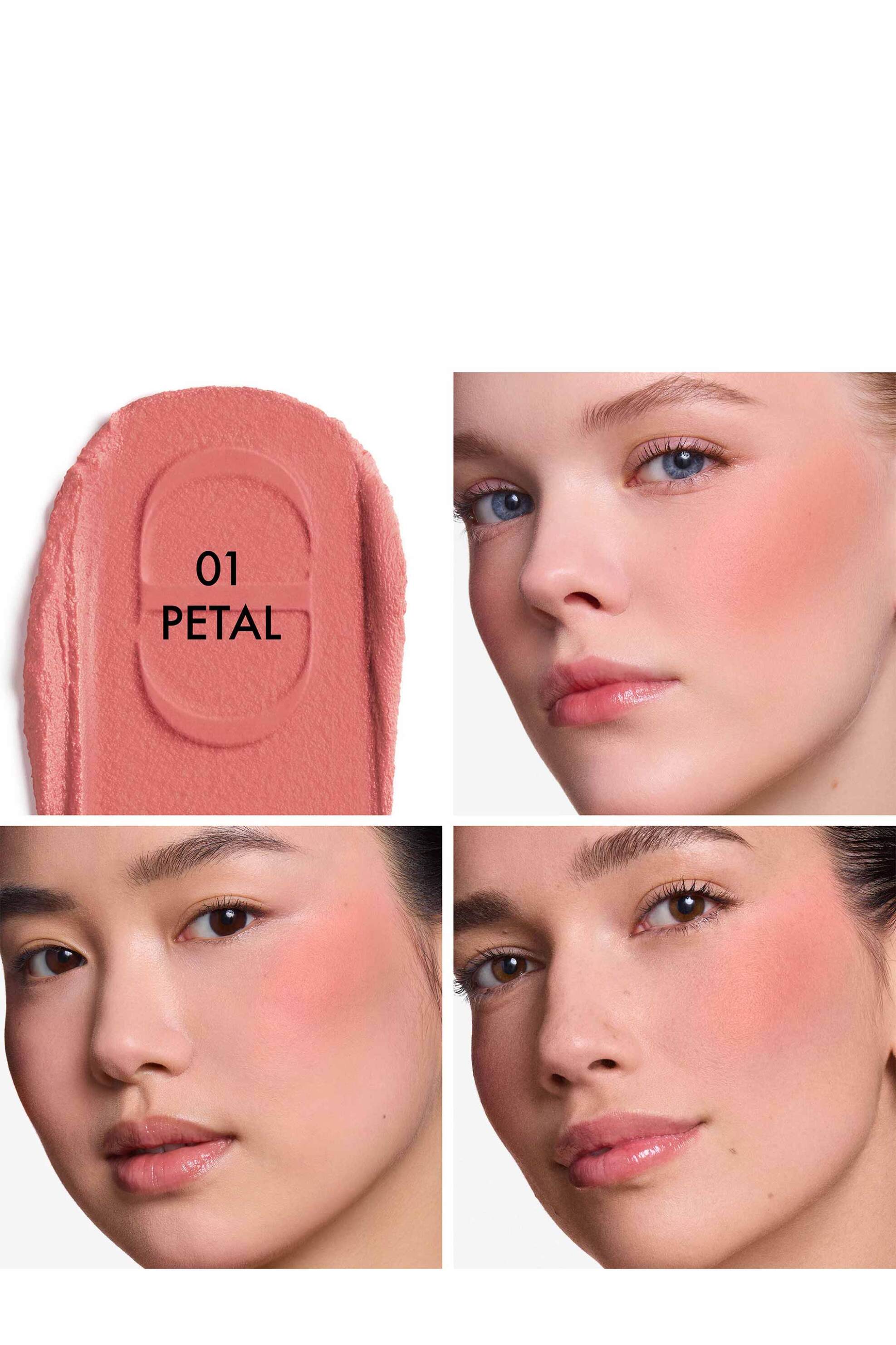 Dior Forever Blush Soft Filter Whipped Liquid - Radiant Matte Finish 11 ML E000000435 01 Petal
