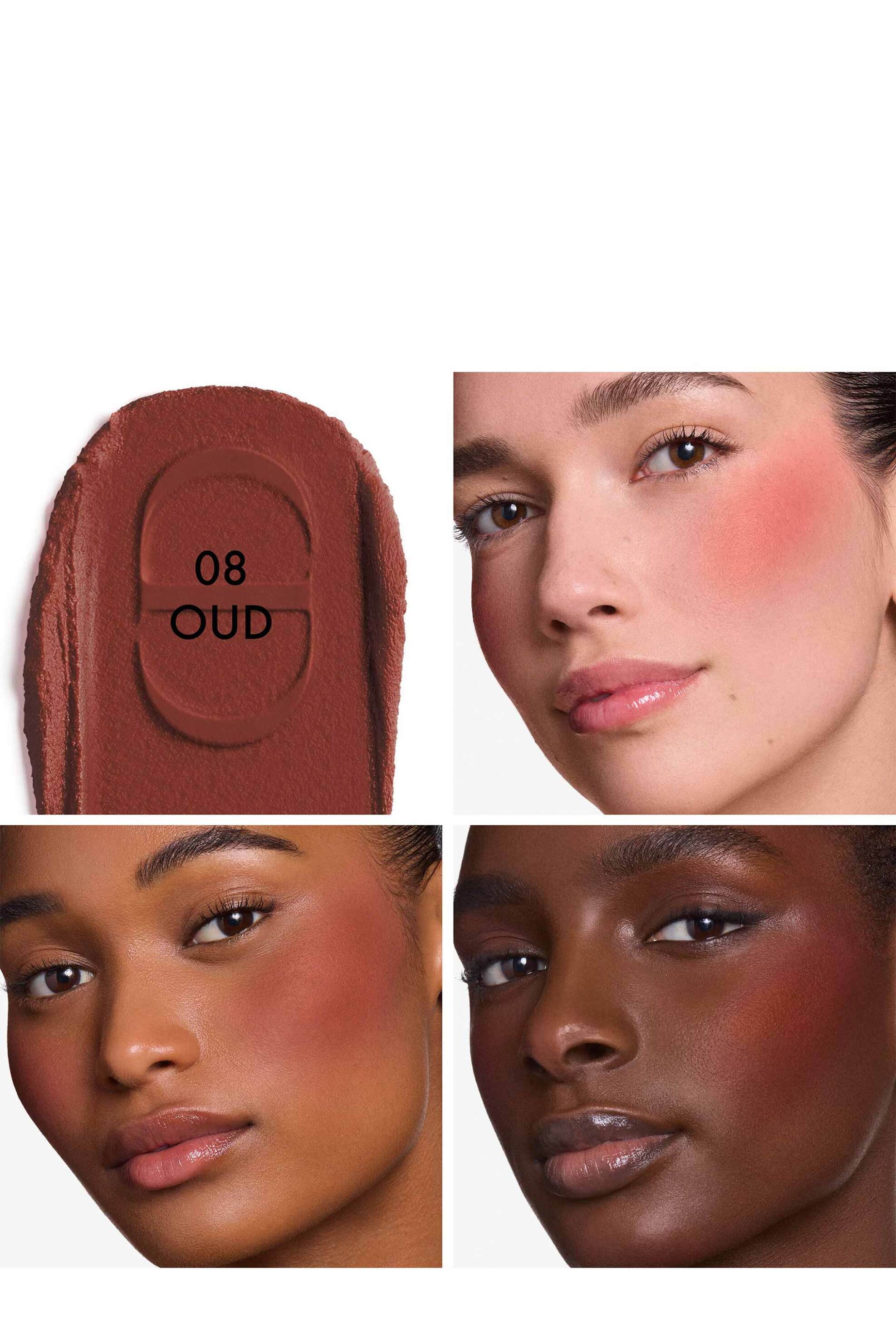 Dior Forever Blush Soft Filter Whipped Liquid - Radiant Matte Finish 11 ML E000000435 08 Oud