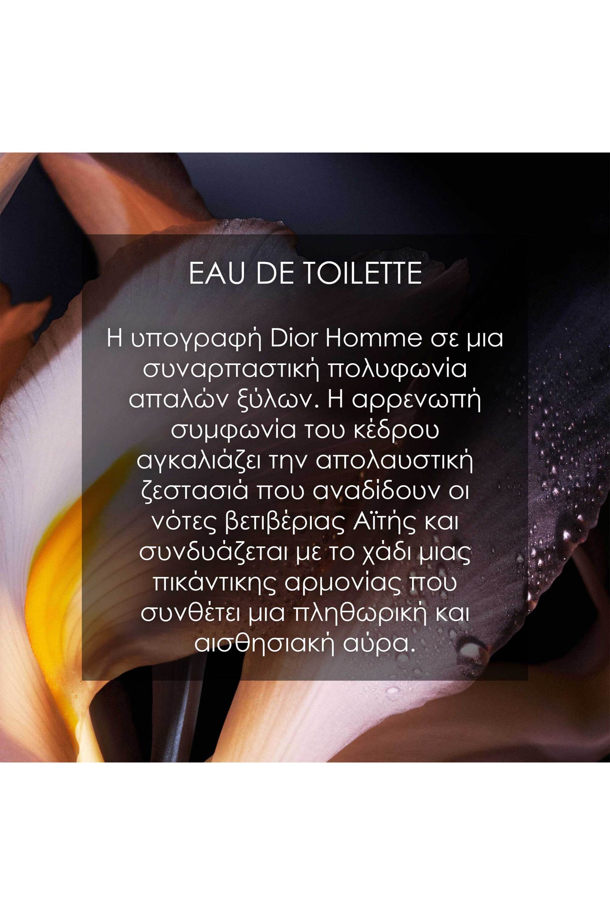 Diοr Homme Eau de Toilette - C099600157 φωτογραφία