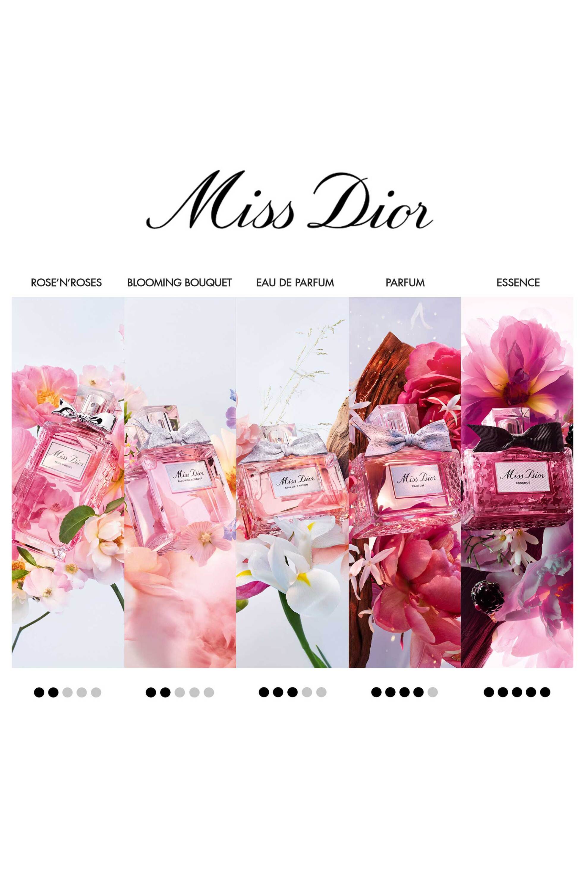 Dior Miss Dior Rose N'Roses Eau de Toilette - C099600514 φωτογραφία