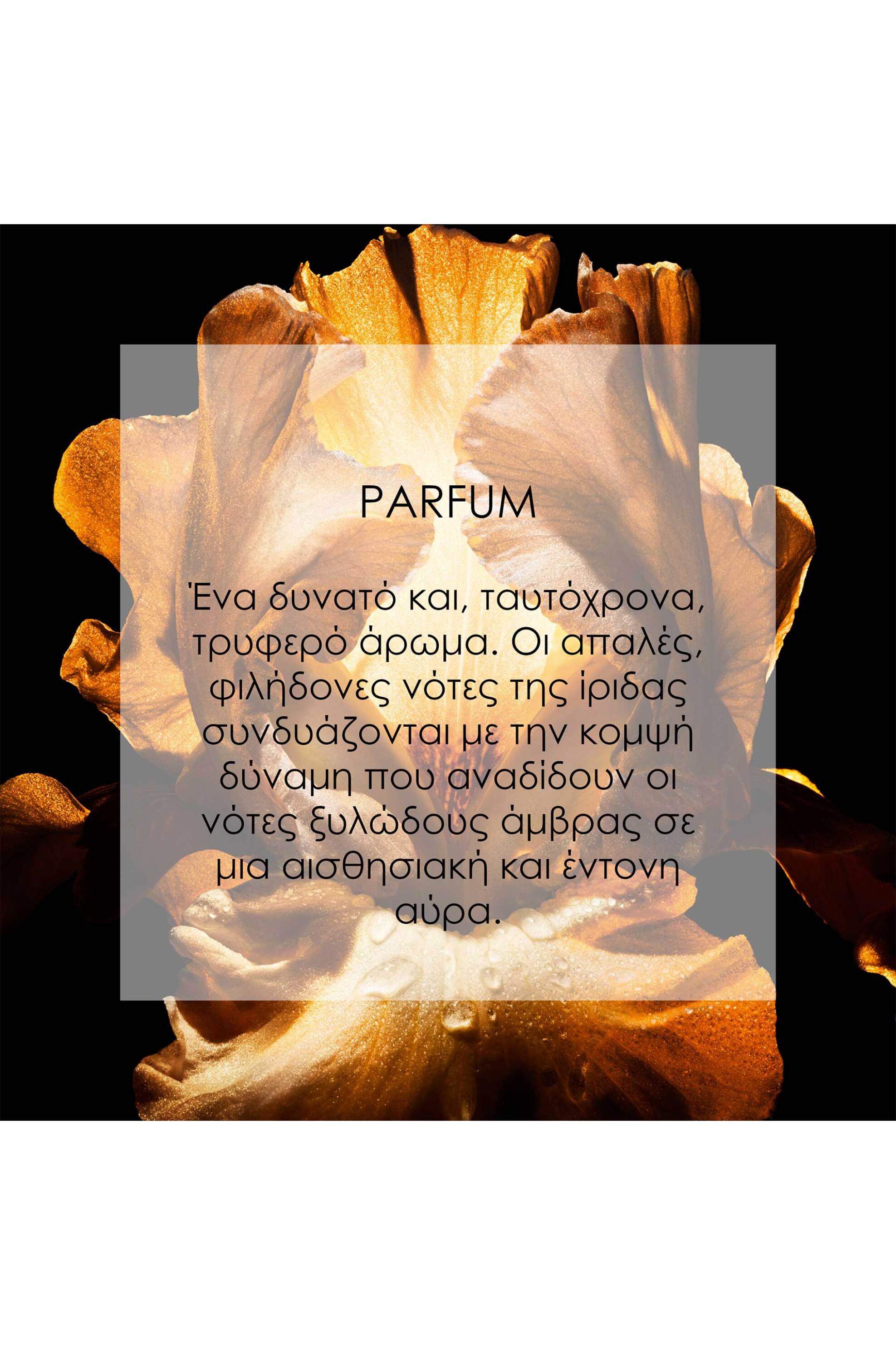 Dior Homme Parfum Fragrance - Ambery, Woody and Floral Notes - C099700665 φωτογραφία