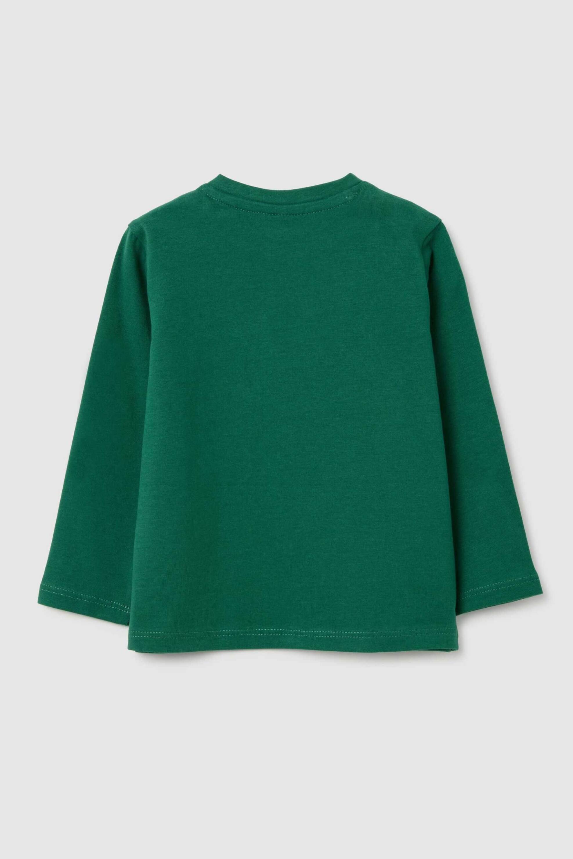 OVS βρεφική μπλούζα μακρυμάνικη με κεντημένο print Regular Fit - 002447263 Πράσινο φωτογραφία