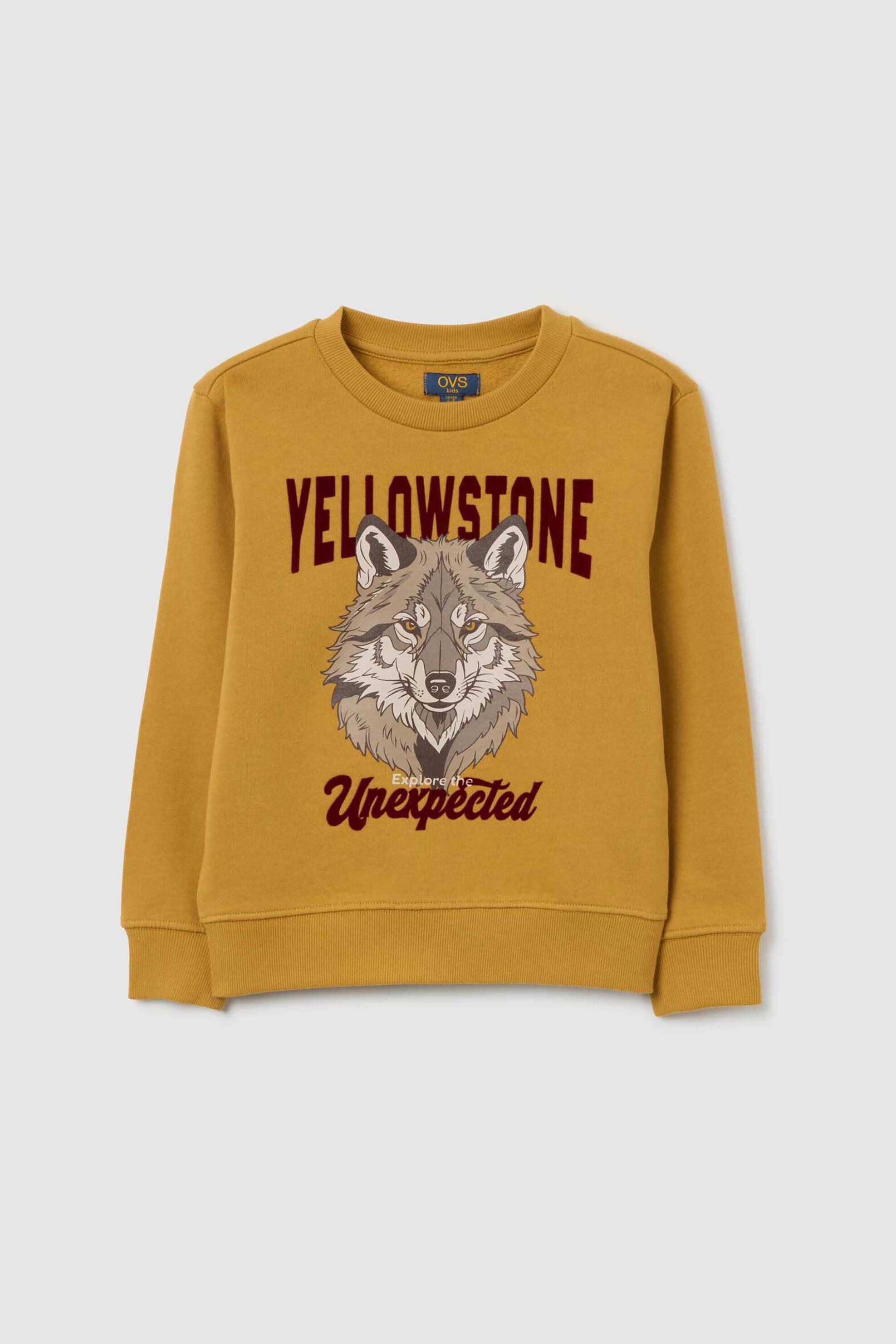 Παιδικά φούτερ για αγόρια ovs kids σε μουσταρδι