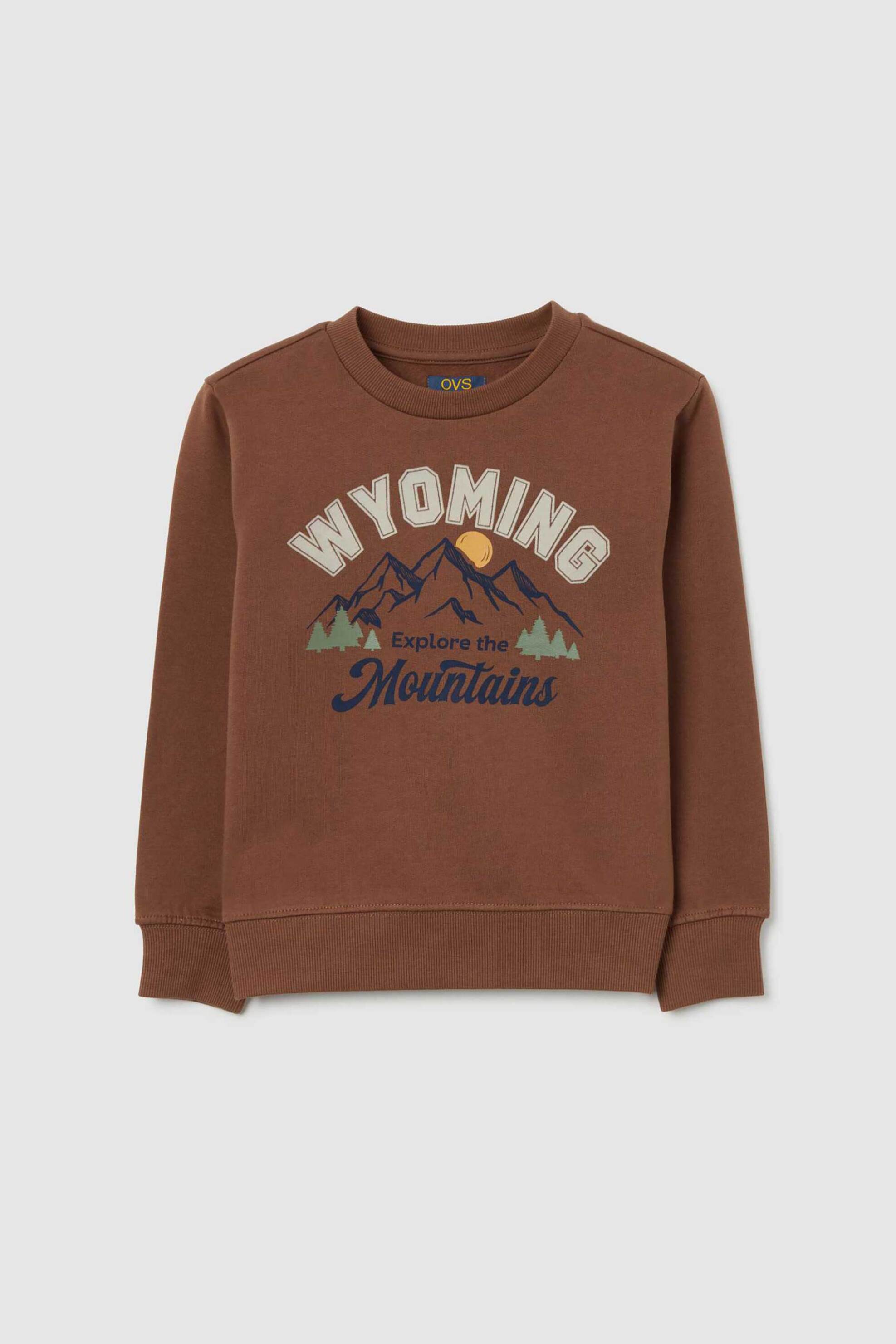 OVS παιδική μπλούζα φούτερ με print Oversized - 002481187 Καφέ