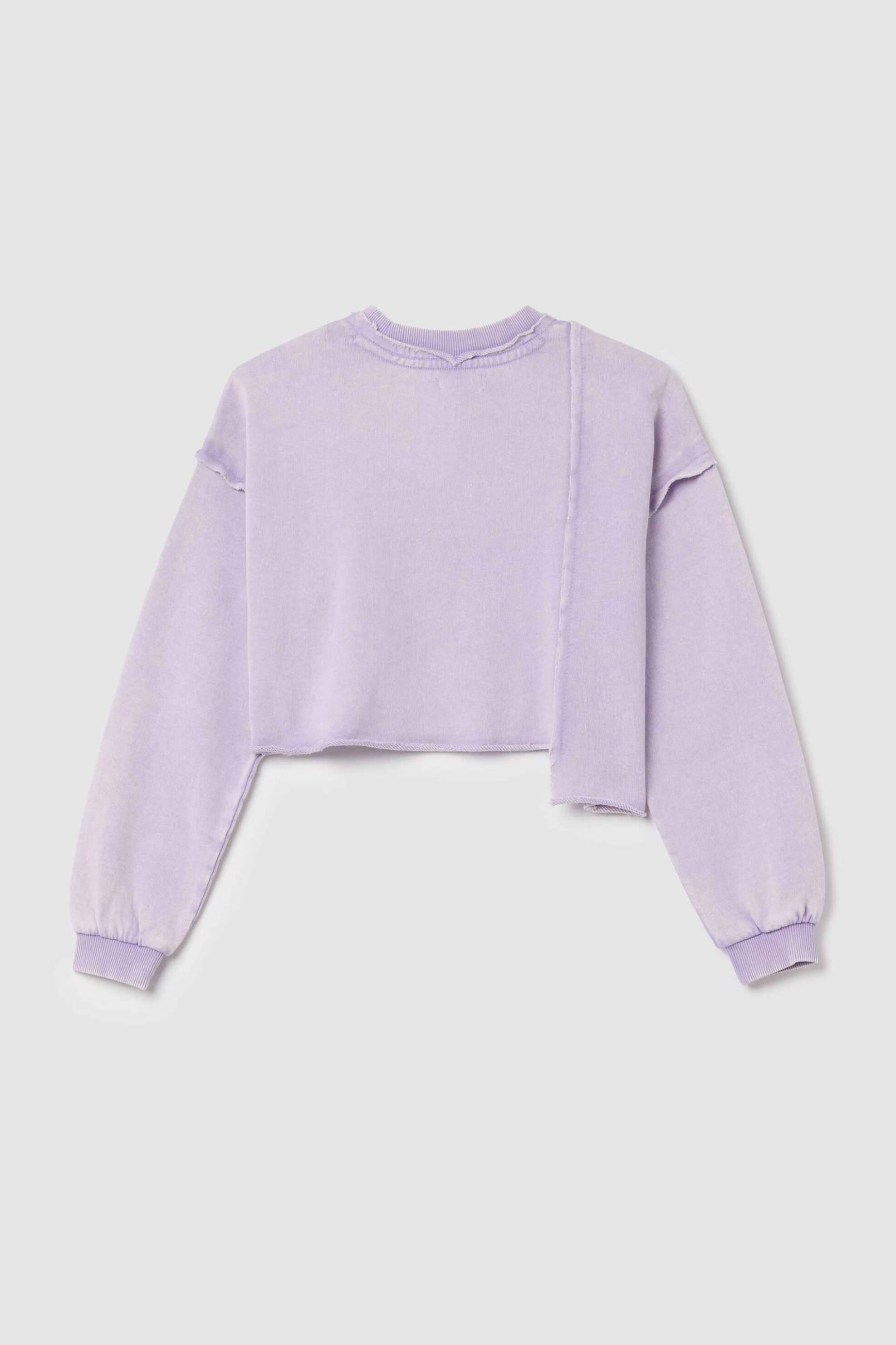 OVS παιδική μπλούζα φούτερ cropped skate lover print Relaxed Fit - 002263067 Λιλά φωτογραφία