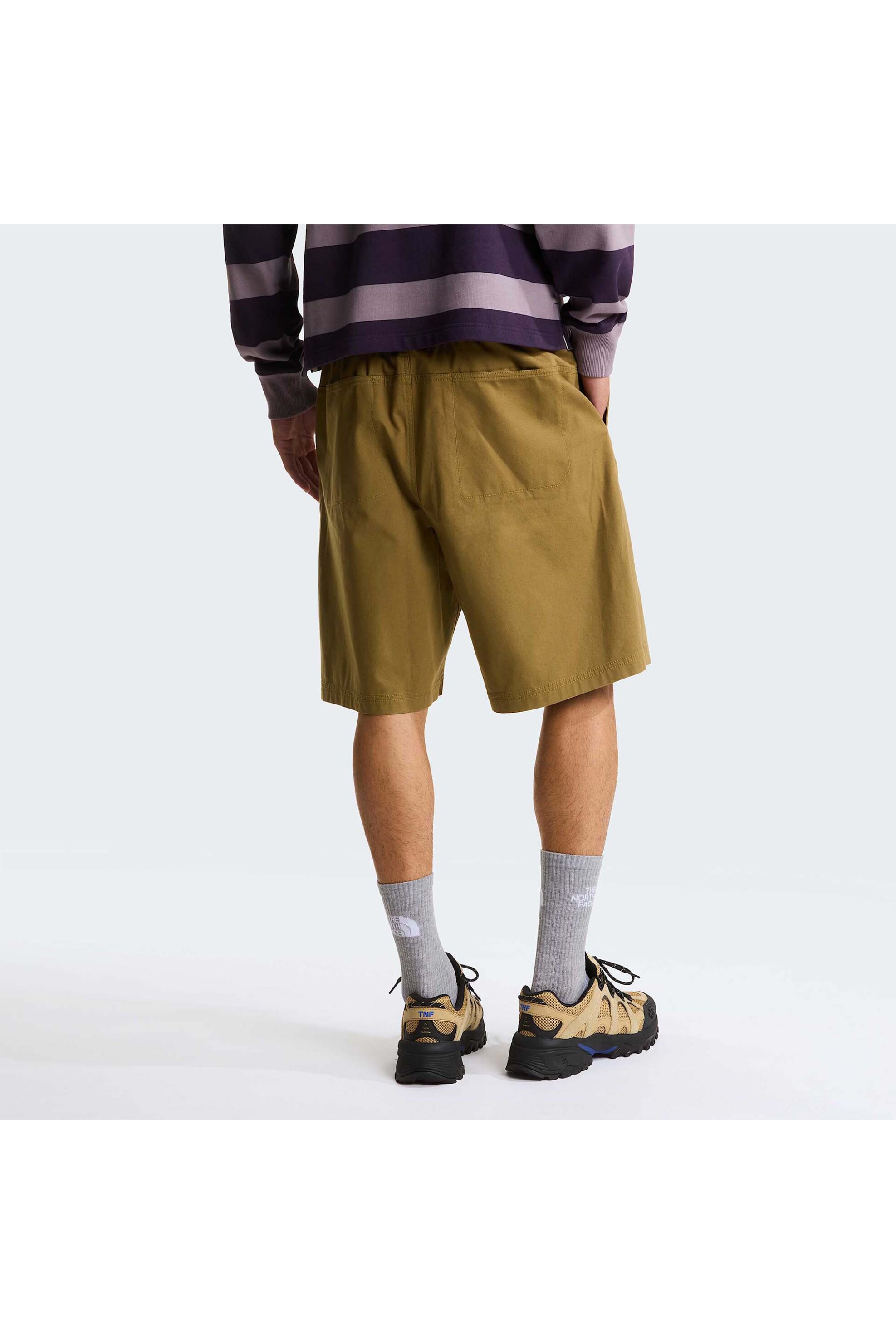 The North Face Ανδρικό Baggy Σορτς Beta - Nf0A8G0A2El1 Καμηλό