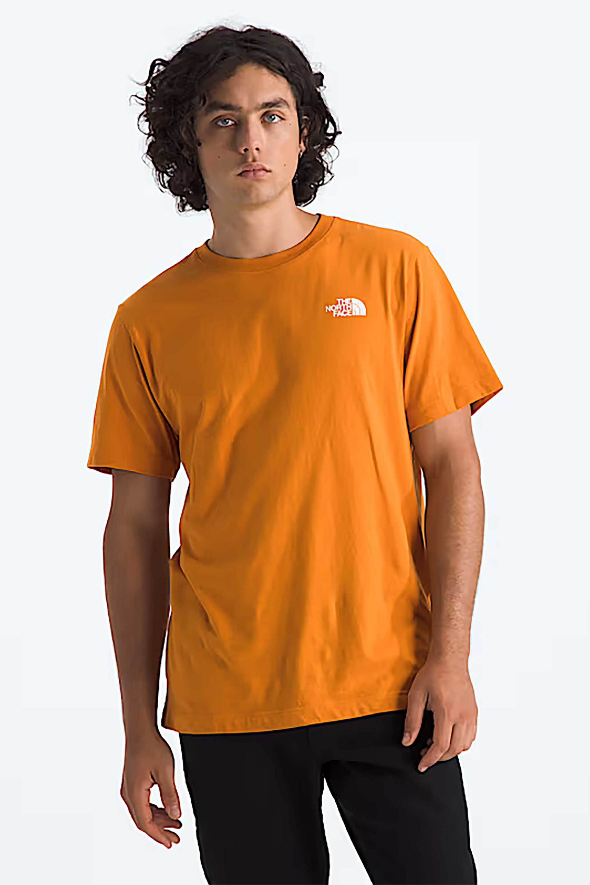 The North Face ανδρικό T-shirt Regular Fit "Evolution Box NSE" - NF0A8B6KG5I1 Πορτοκαλί