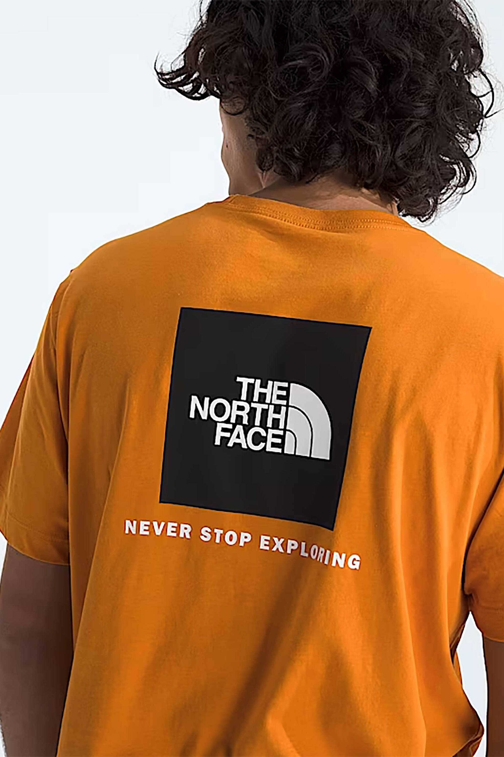 The North Face Ανδρικό T-Shirt Regular Fit Evolution Box Nse - Nf0A8B6Kg5I1 Πορτοκαλί