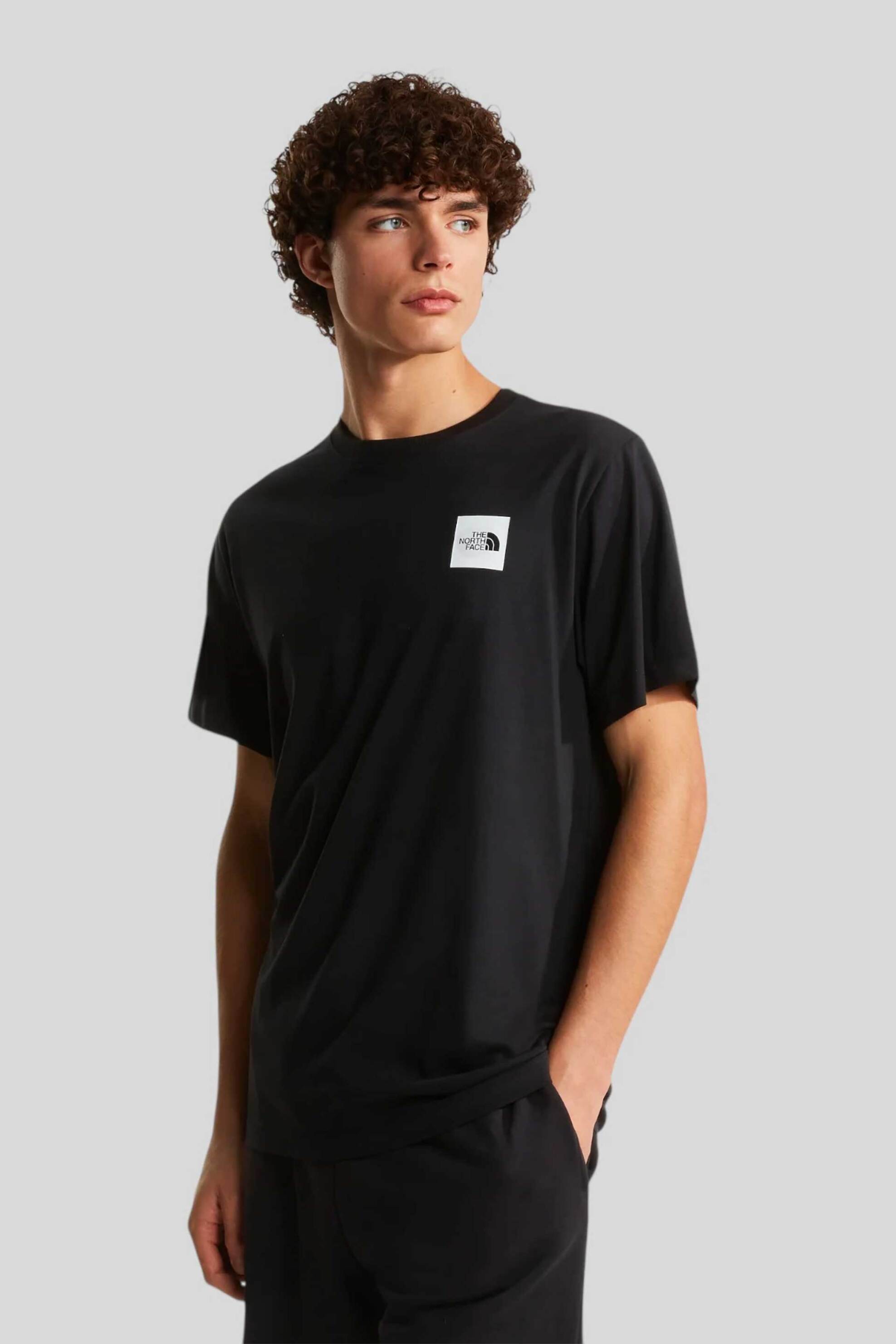 The North Face ανδρικό T-shirt Regular Fit "Evolution Box Half Dome" - NF0A8G9CJK31 Μαύρο